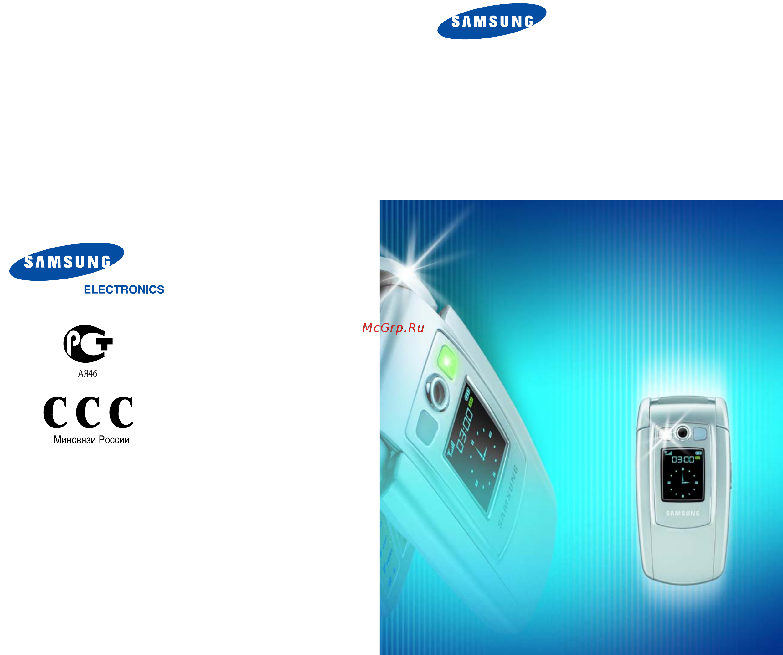Samsung E710 metal.silver Руководство пользователя онлайн
