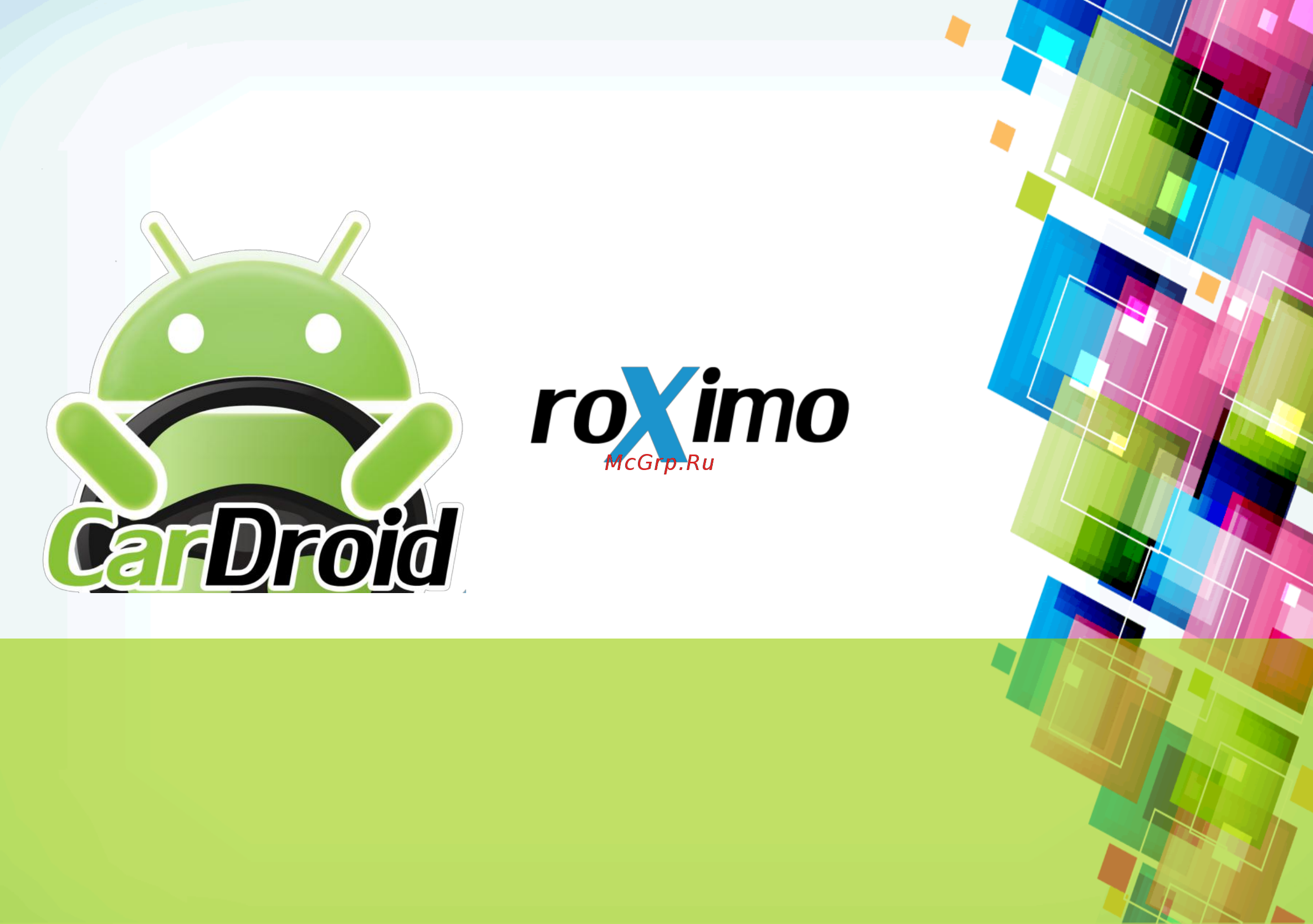 Cardroid RD-1003 Инструкция по эксплуатации онлайн