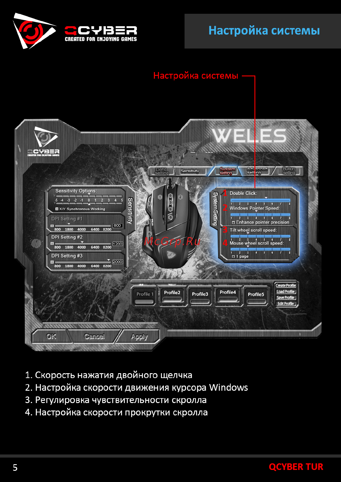 Qcyber WELES [6/20] Настройка системы