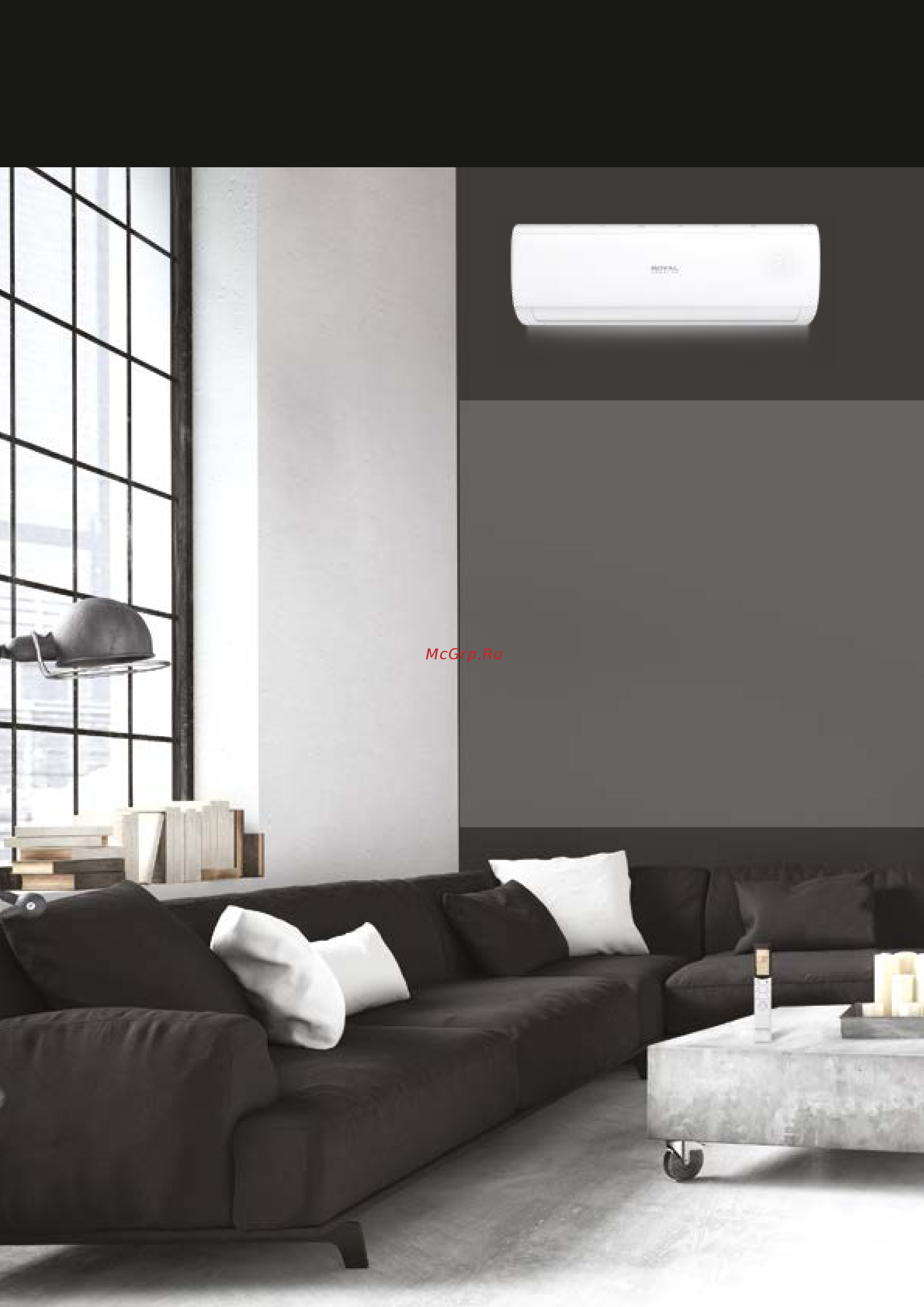 Royal Clima TRIUMPH DC INVERTER ARCSI-14HPN1T1(P) [5/8] Triumph