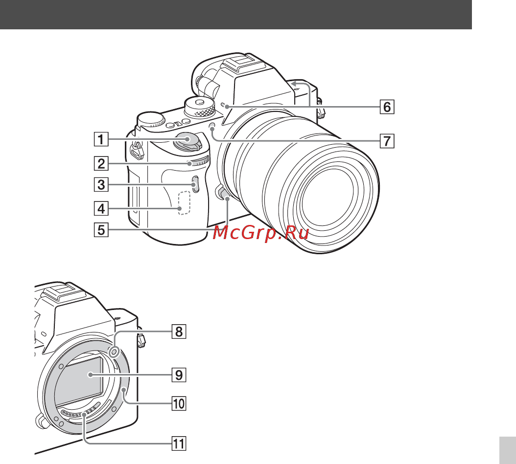 Sony Alpha A7R II Body [603/787] Елементи фотоапарата