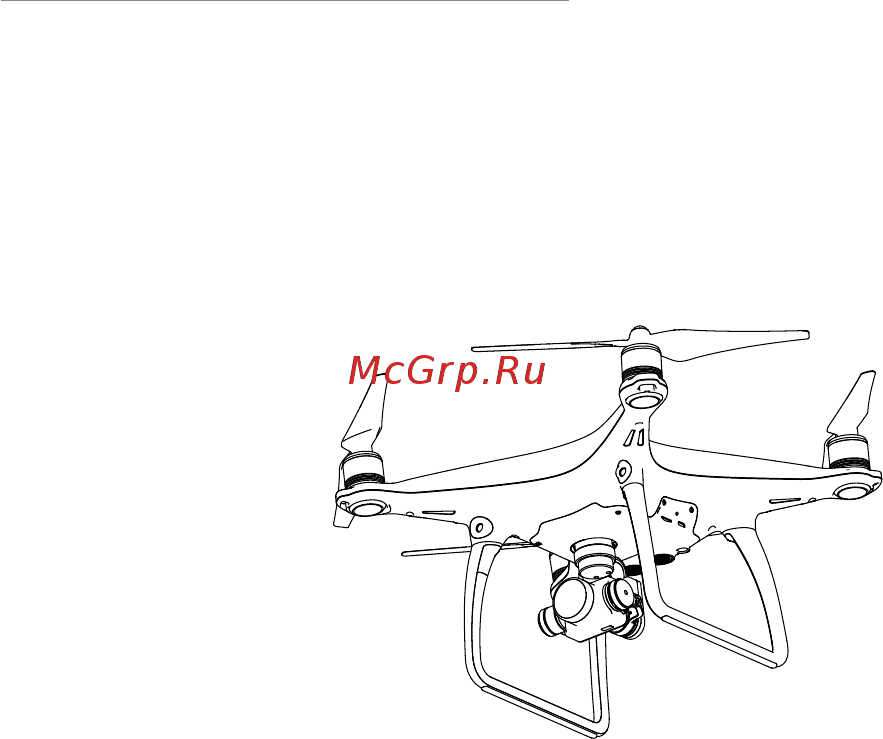 DJI Phantom 4 + 2 батареи [10/65] Коптер aircraft
