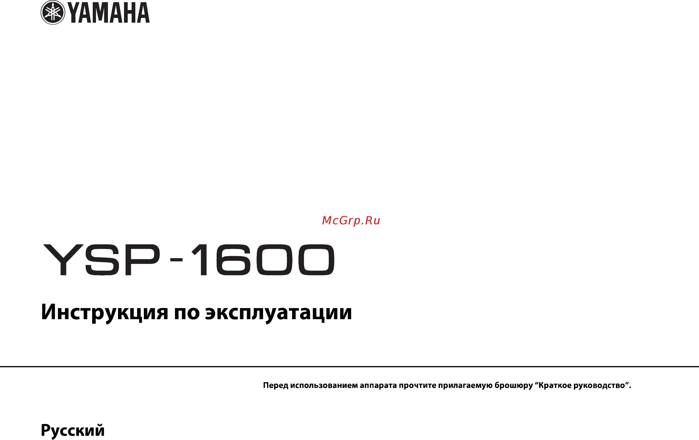Yamaha MusicCast Duet Инструкция по эксплуатации онлайн