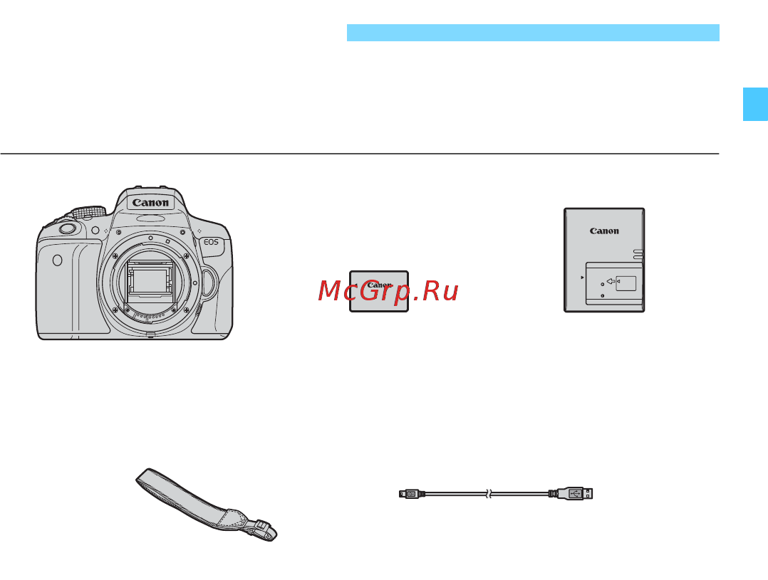 Canon EOS 750D 18-55 IS STM + 50mm STM [3/416] Комплект поставки