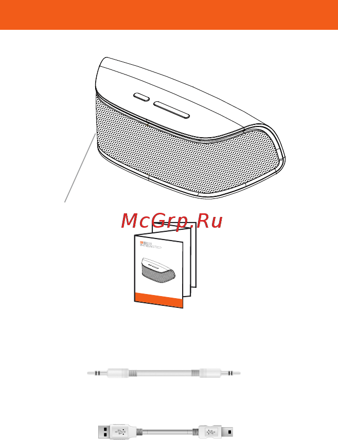 Interstep SBS 210 [2/9] Комплектация