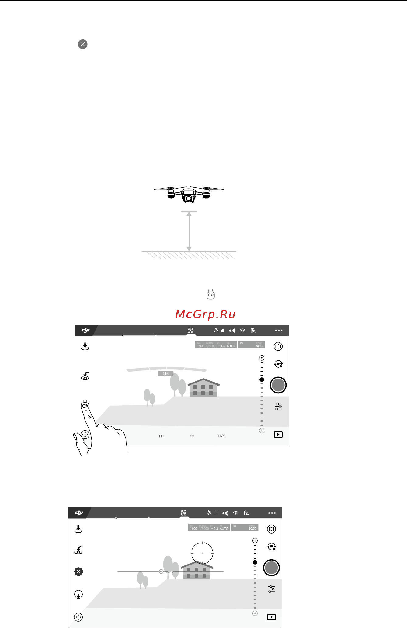 DJI Spark Sunrise Y [21/56] Spark руководство пользователя