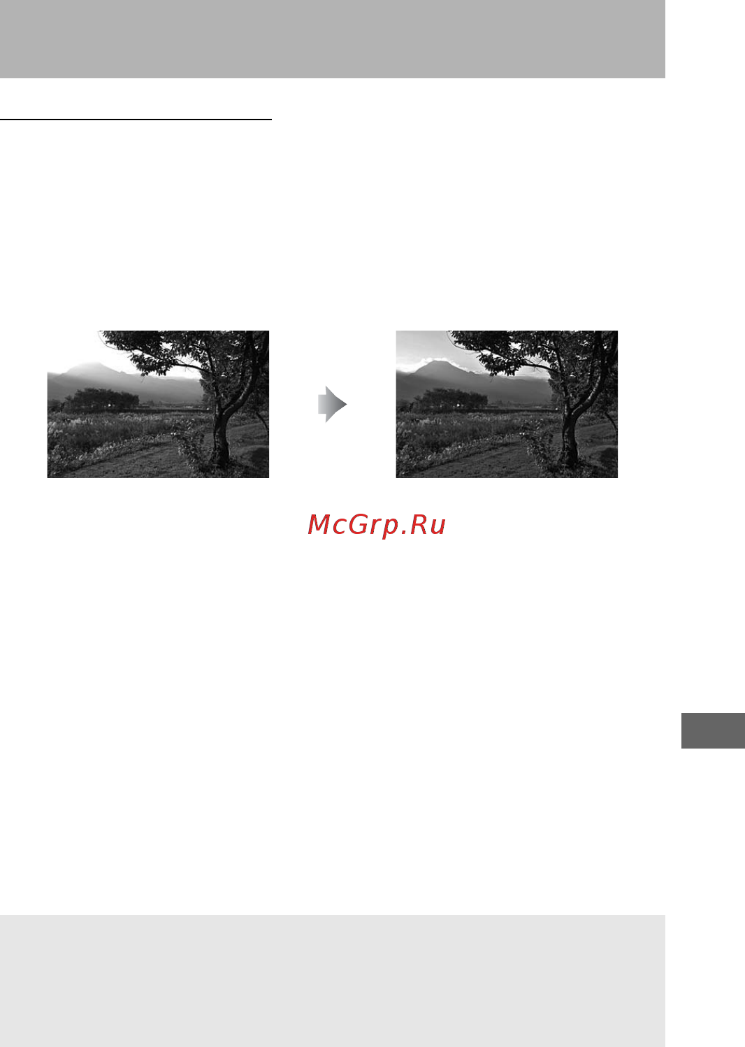 Nikon D7500 Body [179/388] Сохранение деталей в светлых и затененных участках