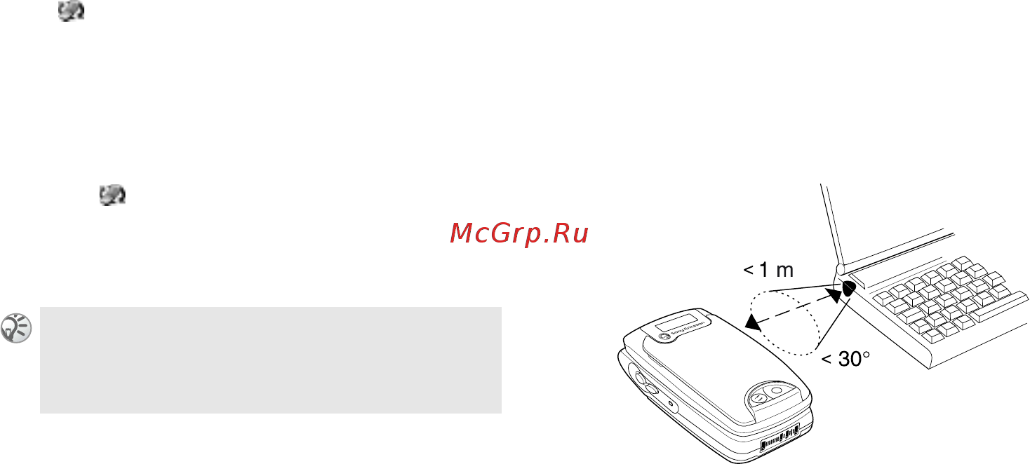 SonyEricsson Z600 sil&nigh [78/128] Ик порт