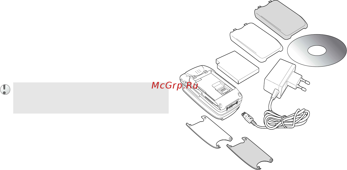 SonyEricsson Z600 sil&nigh [9/128] Комплект поставки