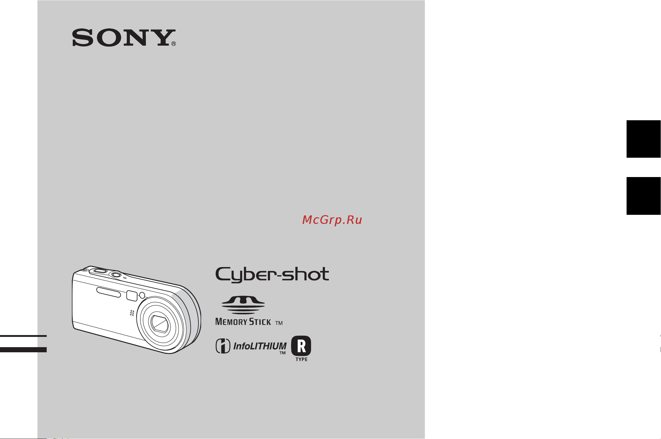Sony DSC-P150 Silver Инструкция по эксплуатации онлайн