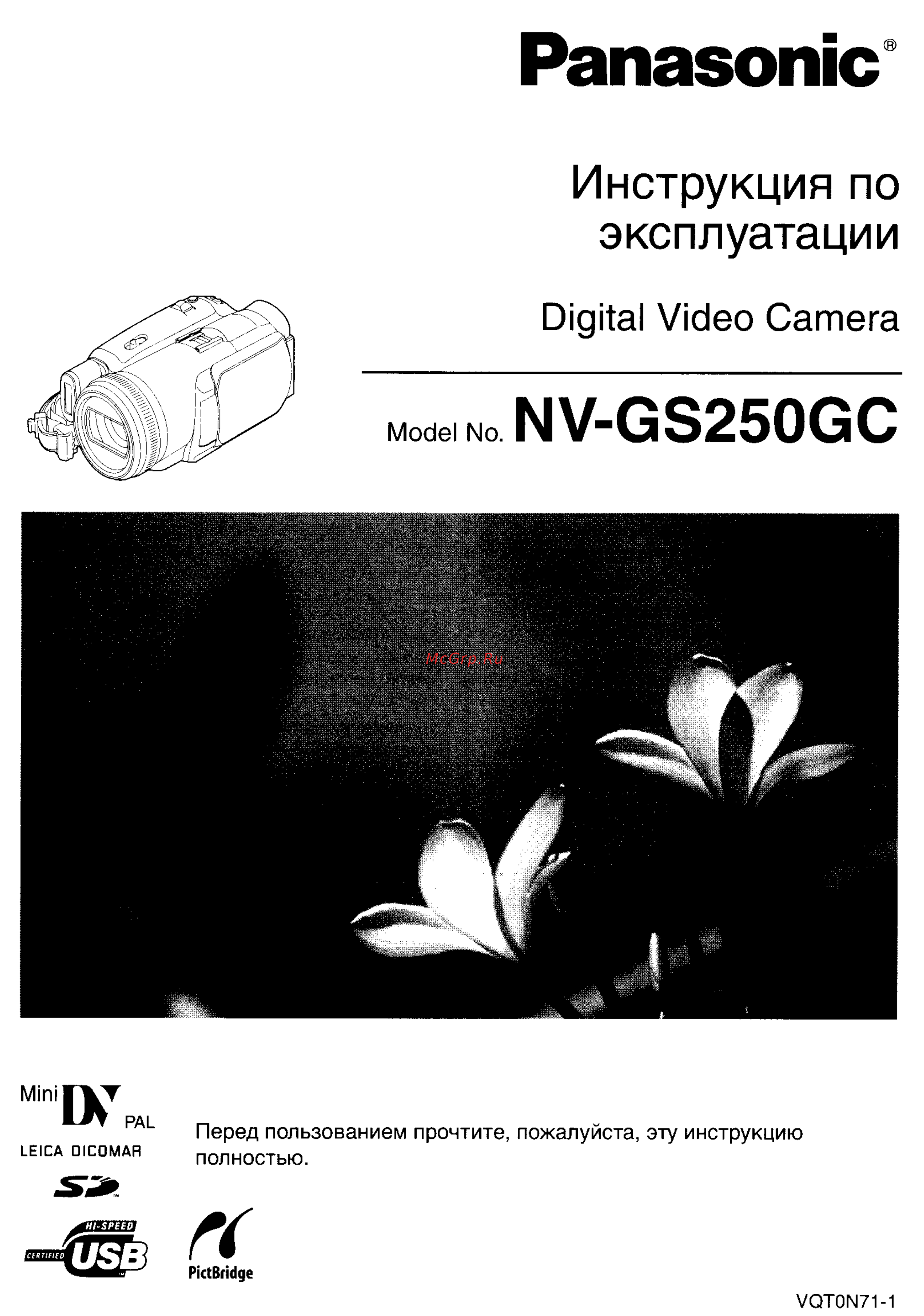 Panasonic NV-GS250 GC-S Инструкция по эксплуатации онлайн