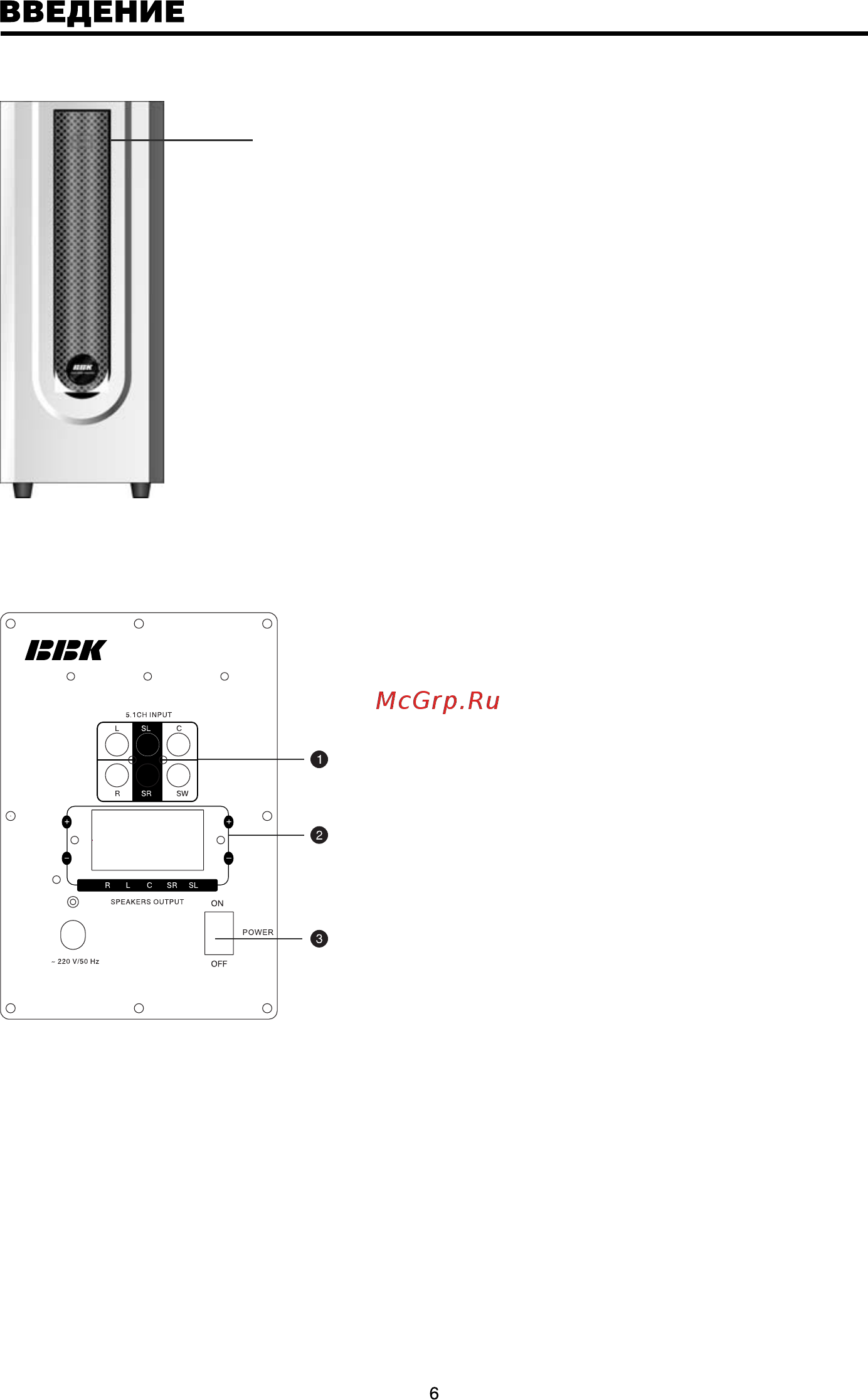 BBK DK1004S (компл.) [8/39] Общий вид задней панели акустической системы 5 ch