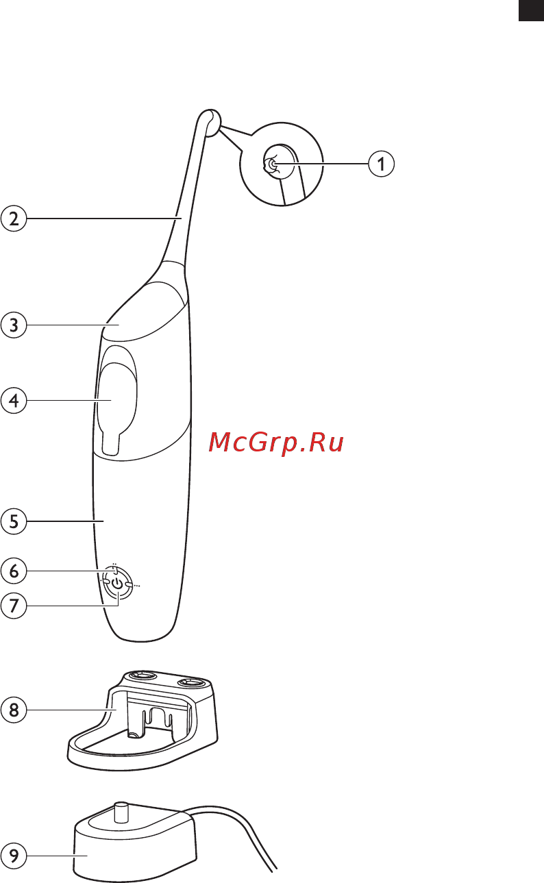 Philips HX8331/01 AirFloss Ultra Инструкция по эксплуатации онлайн [3/19] 585996