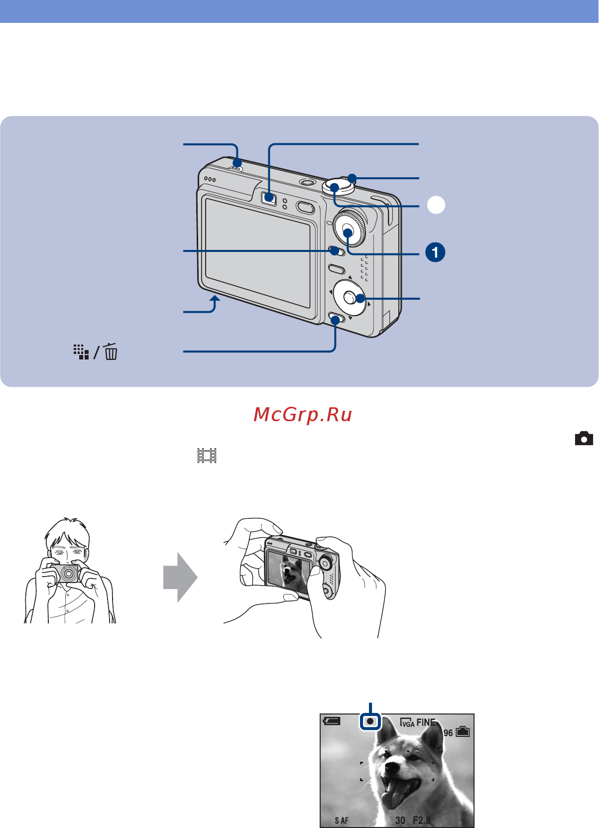 Sony DSC-W55 Siver [11/40] Фотографировать это так просто