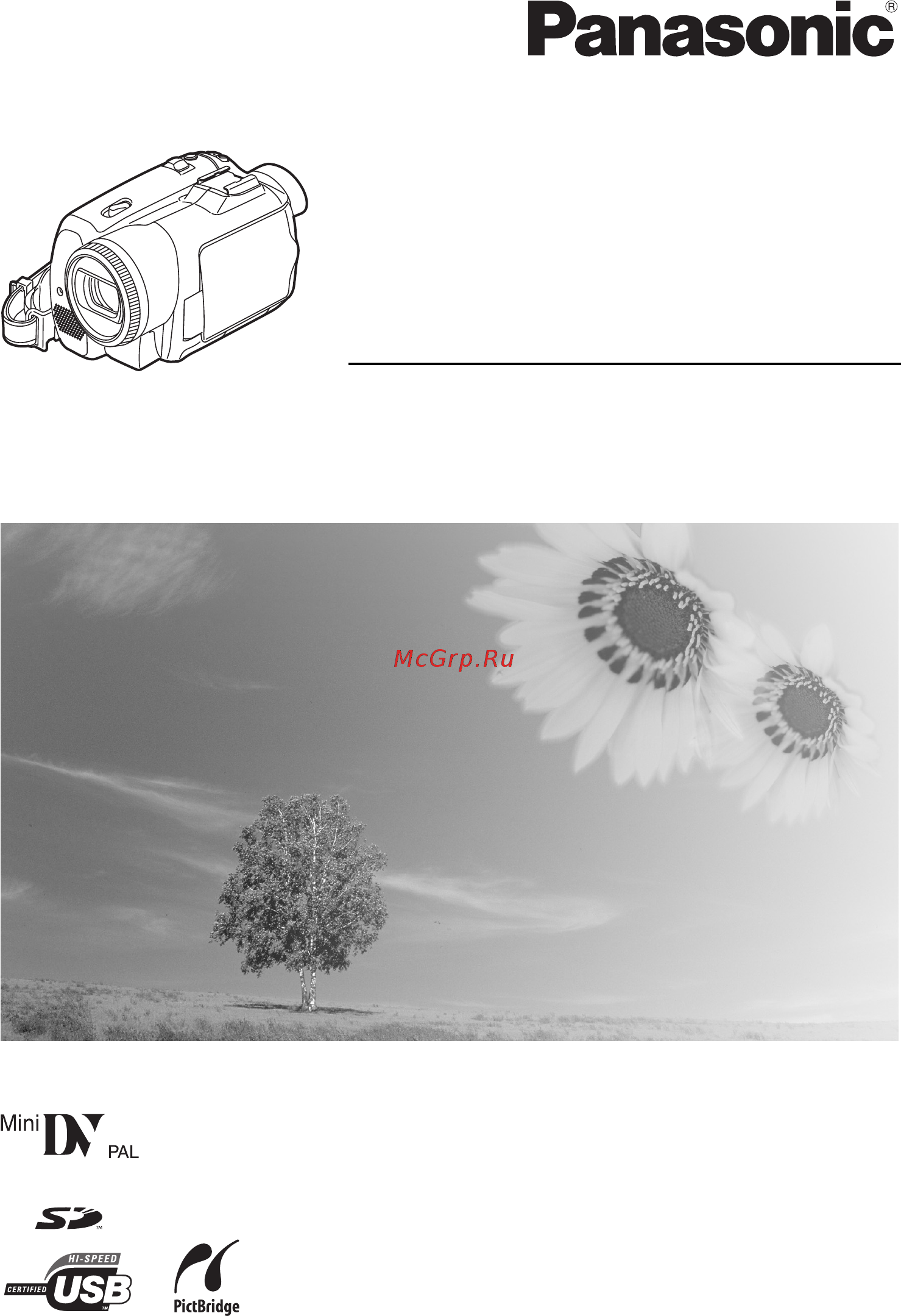 Panasonic NV-GS230 EE-S Инструкция по эксплуатации онлайн