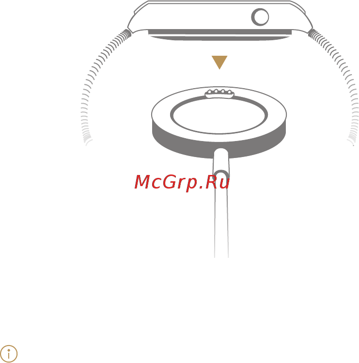Huawei Watch Classic Silver (MERCURY-G00) [3/11] Зарядка