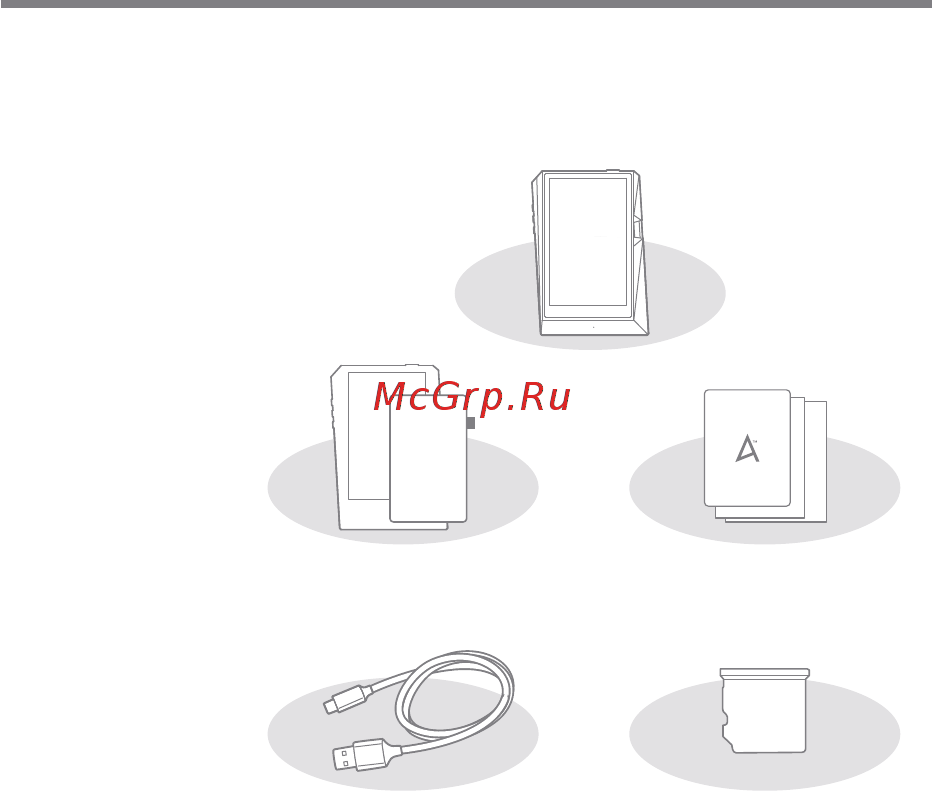 Astell&Kern AK380 256Gb Meteoric Titan [3/56] Комплект поставки