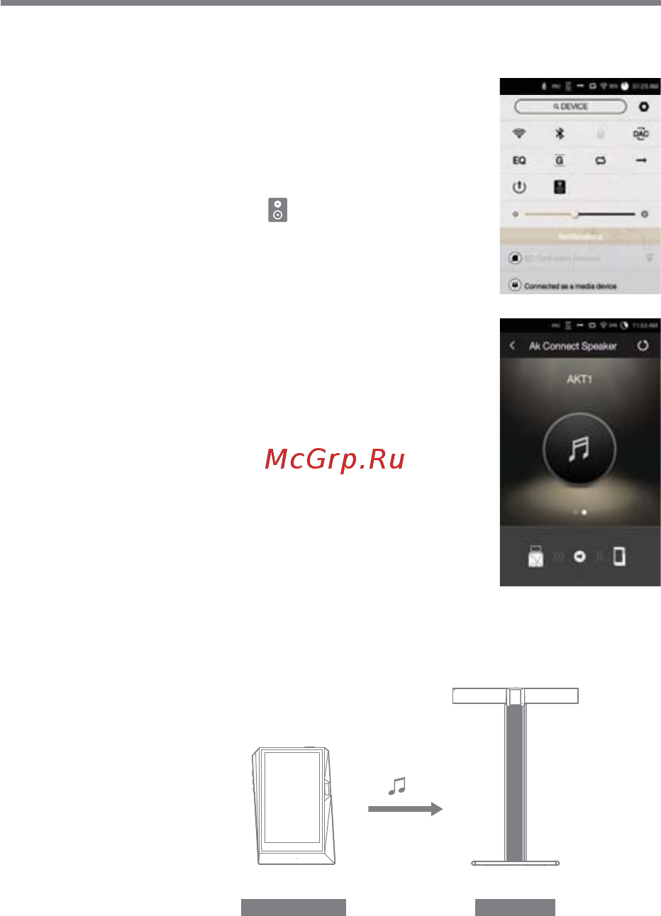 Astell&Kern AK380 256Gb Copper [22/56] User guide
