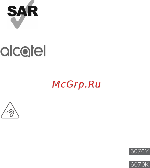 Alcatel 6070K Dark Gray [2/11] Информация о мерах