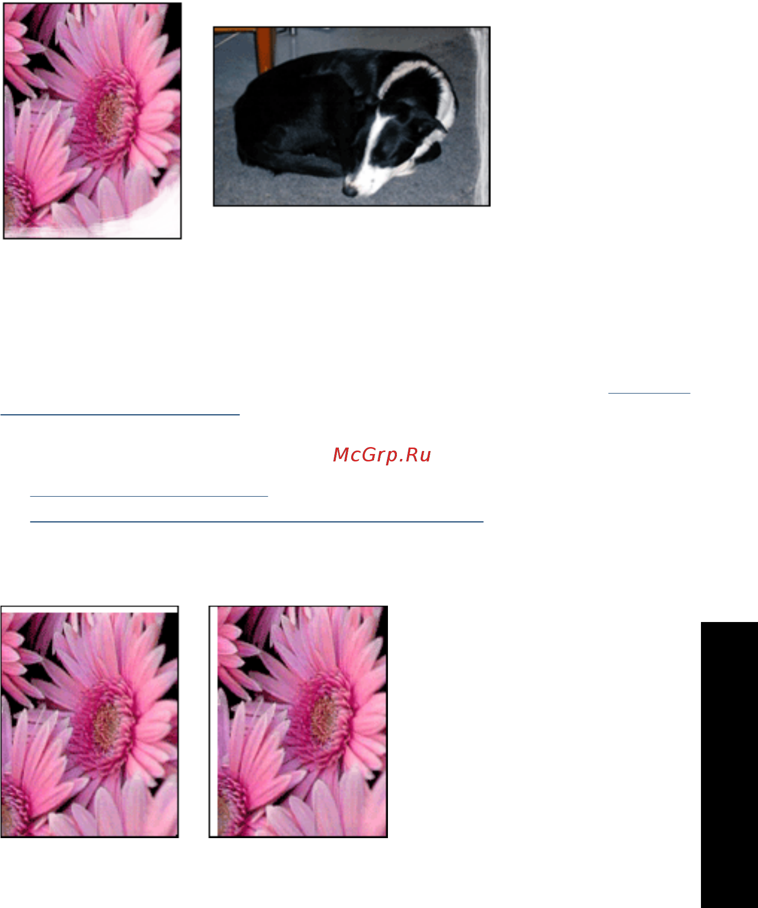 HP DeskJet D2460 [88/107] Блеклая печать по краям фотографии