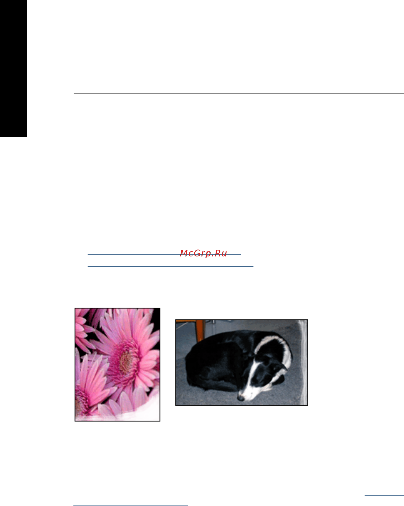 HP Deskjet D4200 [103/125] Часть фотографии блеклая