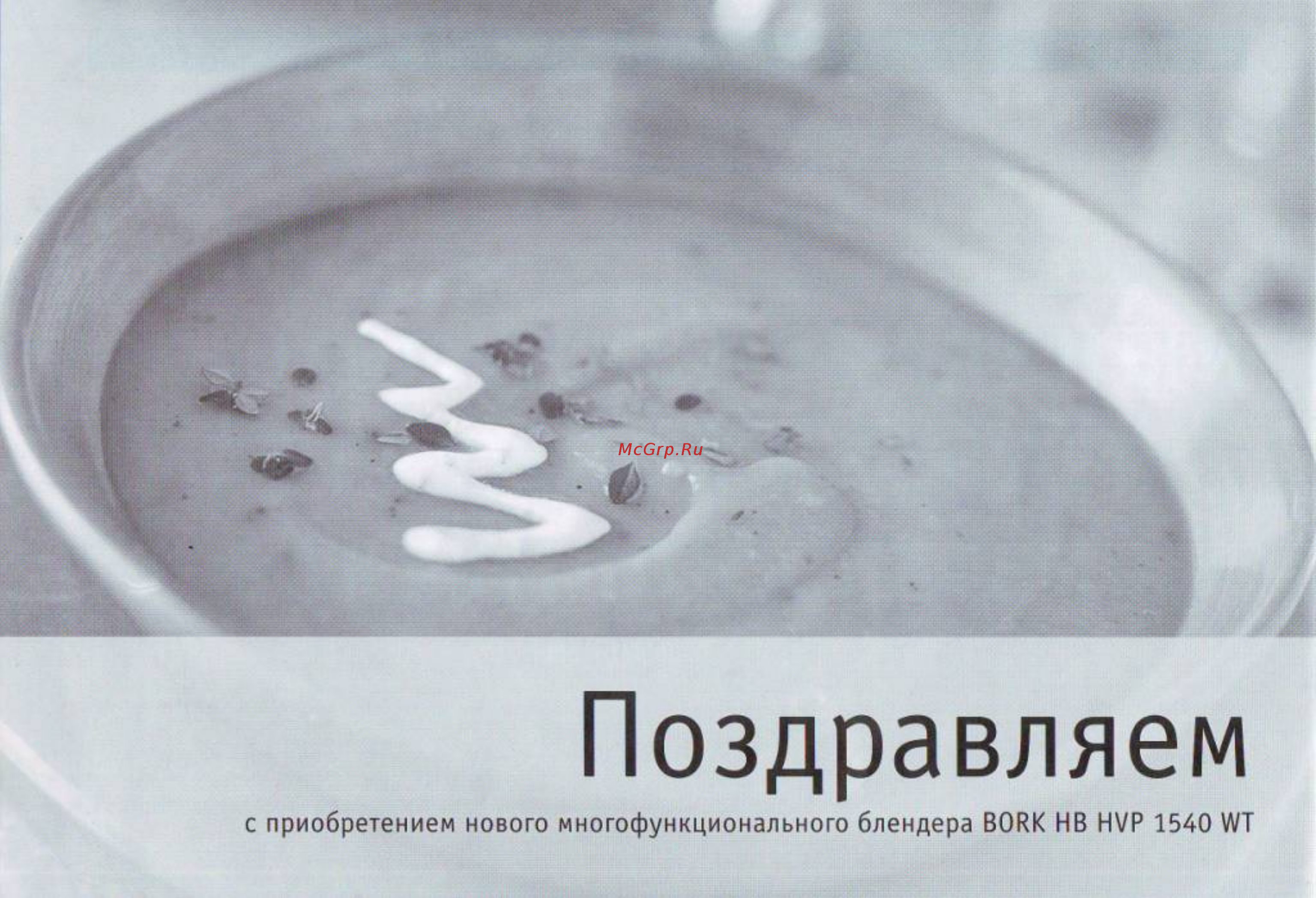 Bork HB HVP 1540 WT [3/14] Стр 4 jpg