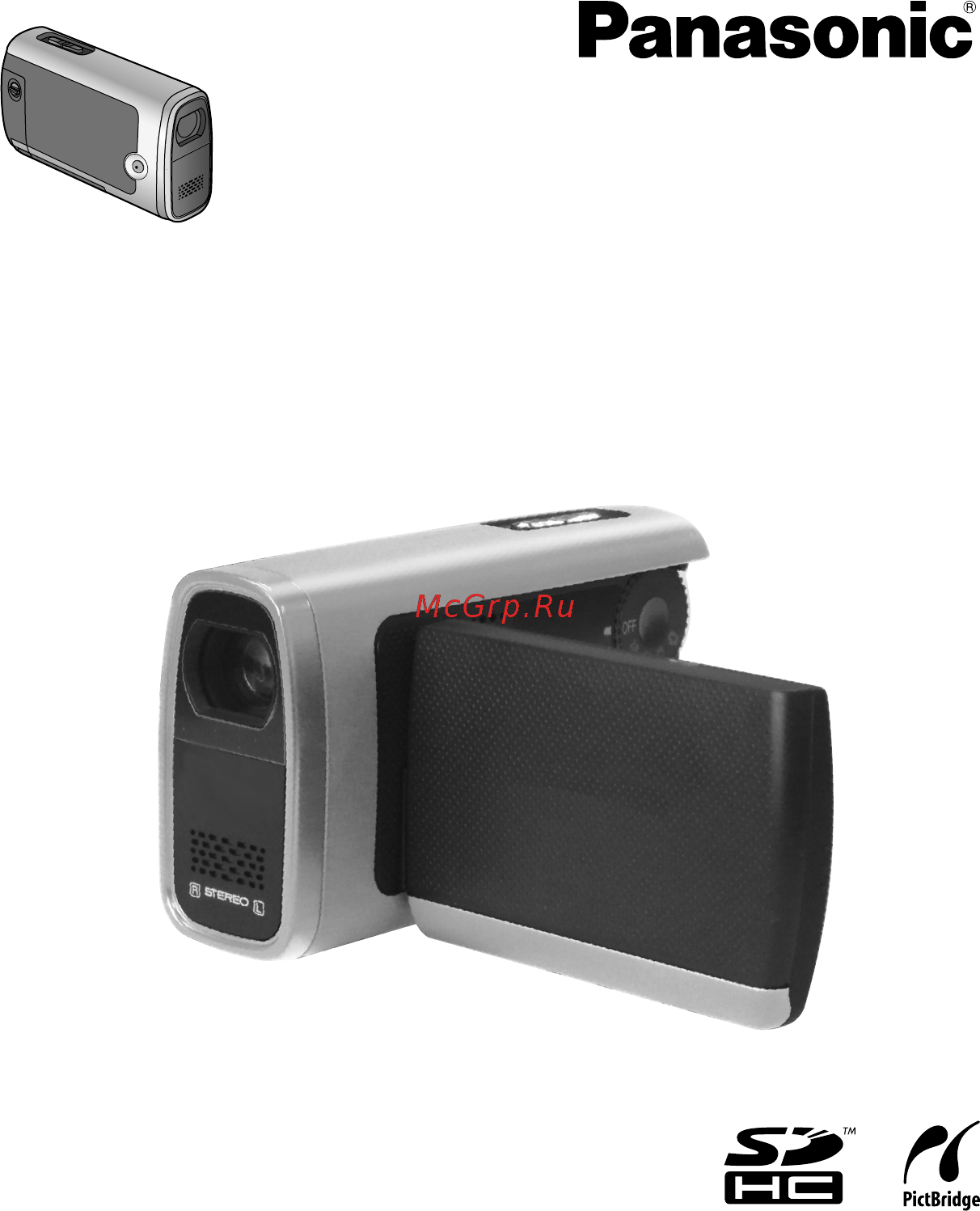Panasonic SDR-SW20EE-S Silver Инструкция по эксплуатации онлайн