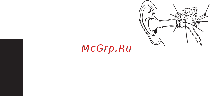 Monster DNA On-Ear White Tuxedo (137007-00) [58/122] Ελληνικά