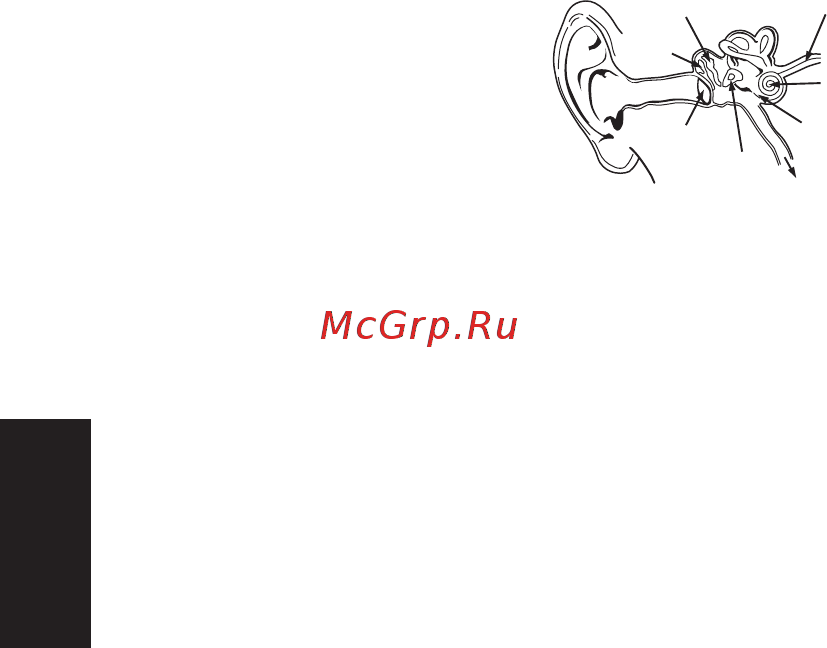 Monster DNA On-Ear Carbon Black (137008-00) [90/122] Относитесь к использованию оборудования с полной ответственностью