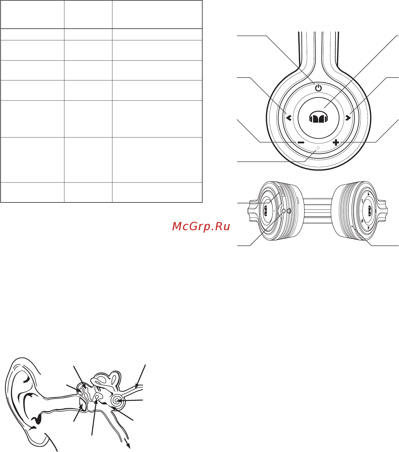 Monster ROC Sport Freedom On-Ear (137046-00) [10/60] Physiologie des ohrs und des gehörs