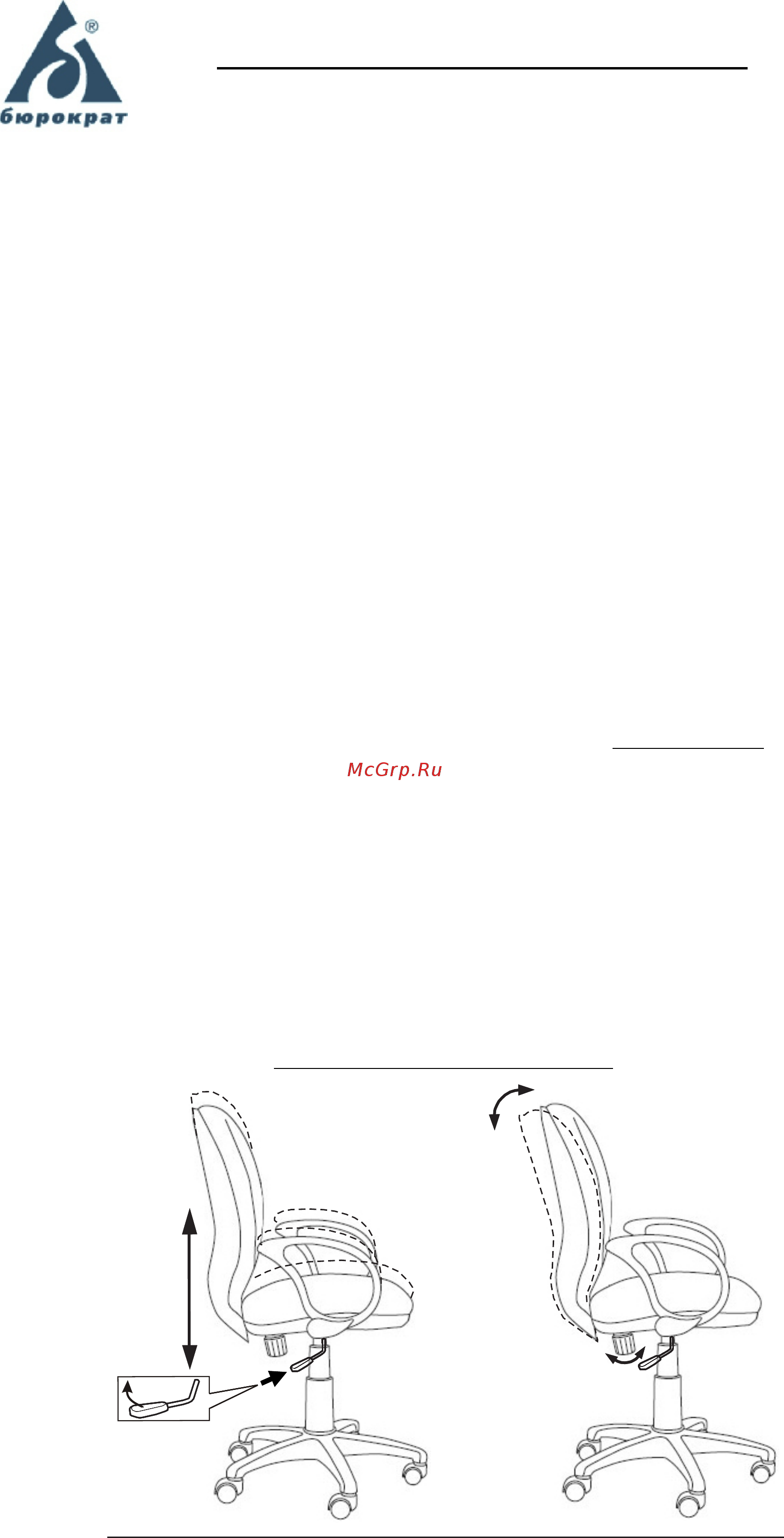 Бюрократ CH-G687AXSN/Grey [2/2] И н с т р у к ц и я п о э к с п л у а т а ц и и