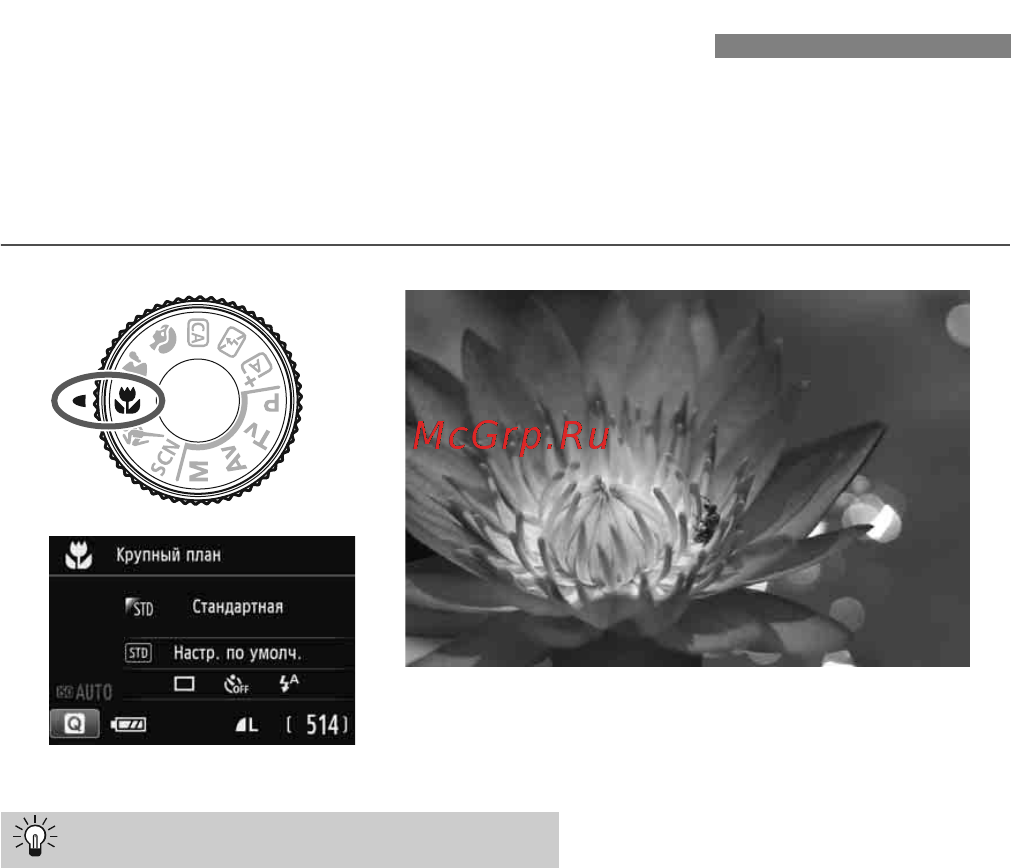 Canon EOS 100D Kit 18-55 IS STM [60/112] Рекомендации по съемке
