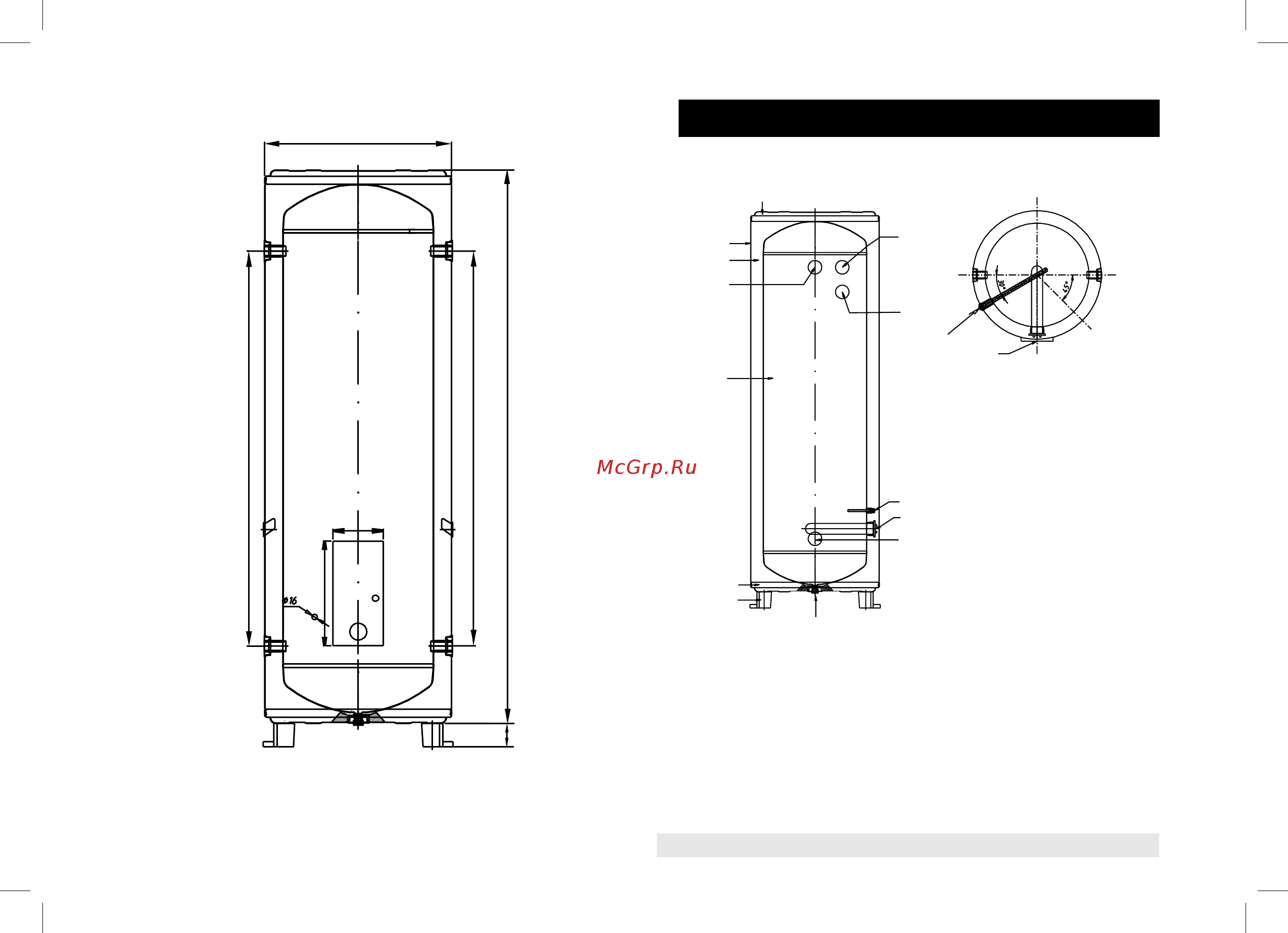 Timberk Giant SWH RS5 500 V [5/28] Устройство водонагревателя