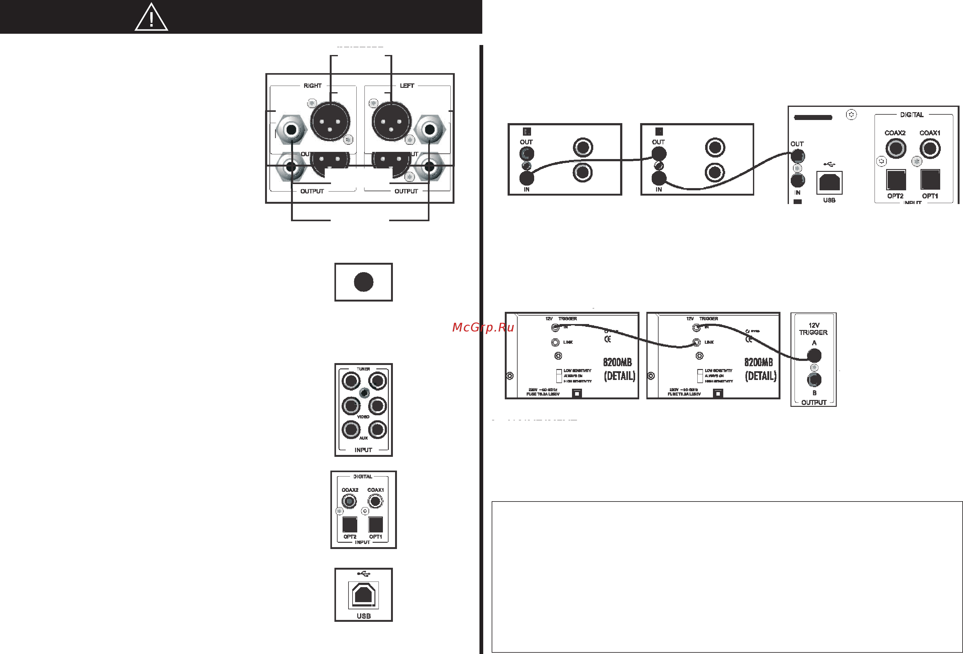 Audiolab 8200-DQ [7/25] Аналоговые выходы