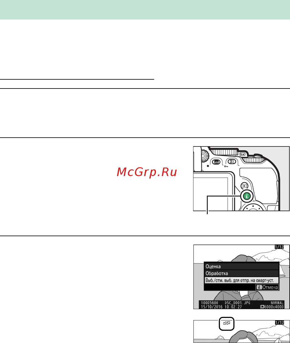 Nikon D5600 Kit AF-P DX 18-55mm VR + 70-300mm VR Black [229/424] Выбор снимков для загрузки