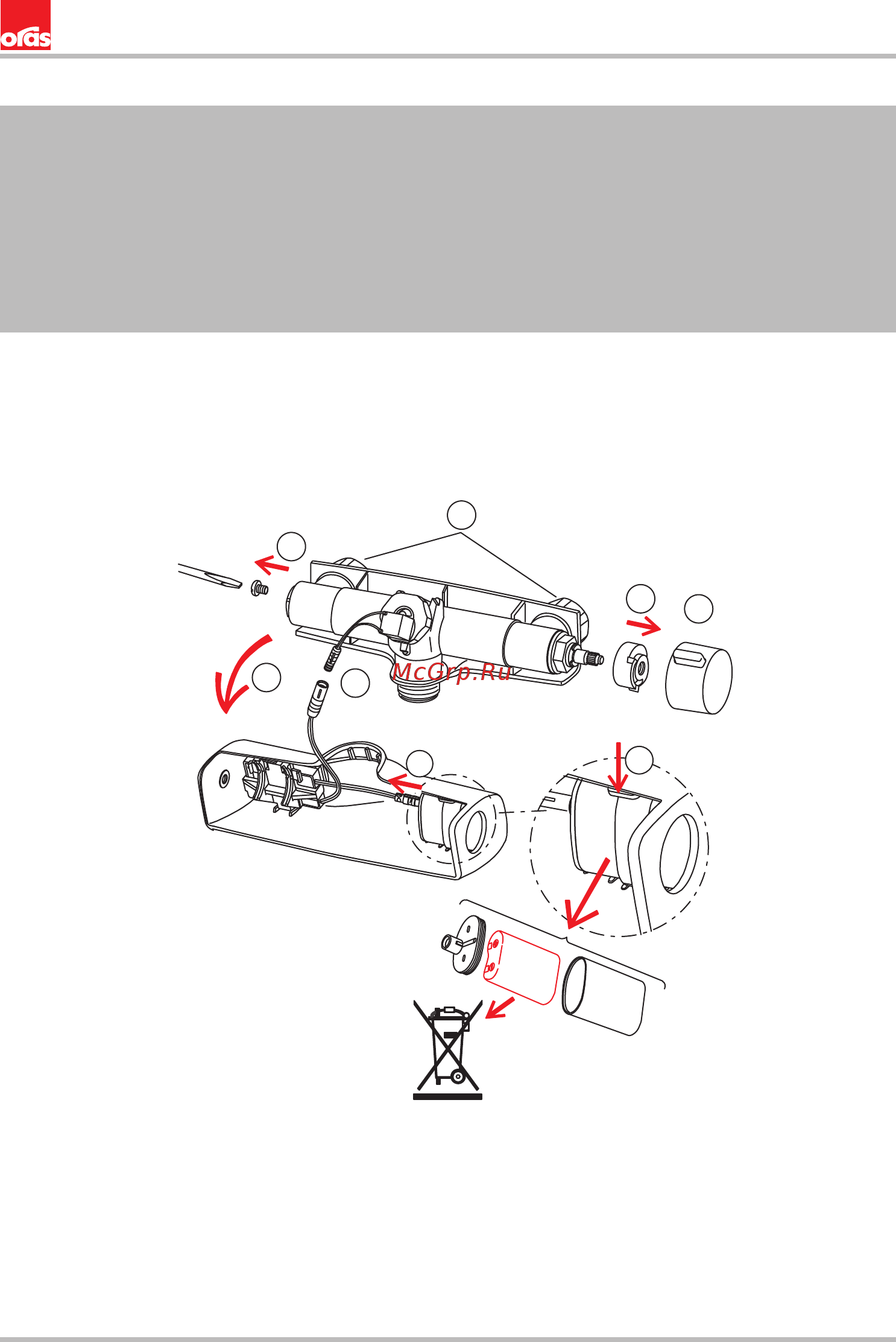 ORAS Electra 6172 [12/24] Changing the battery