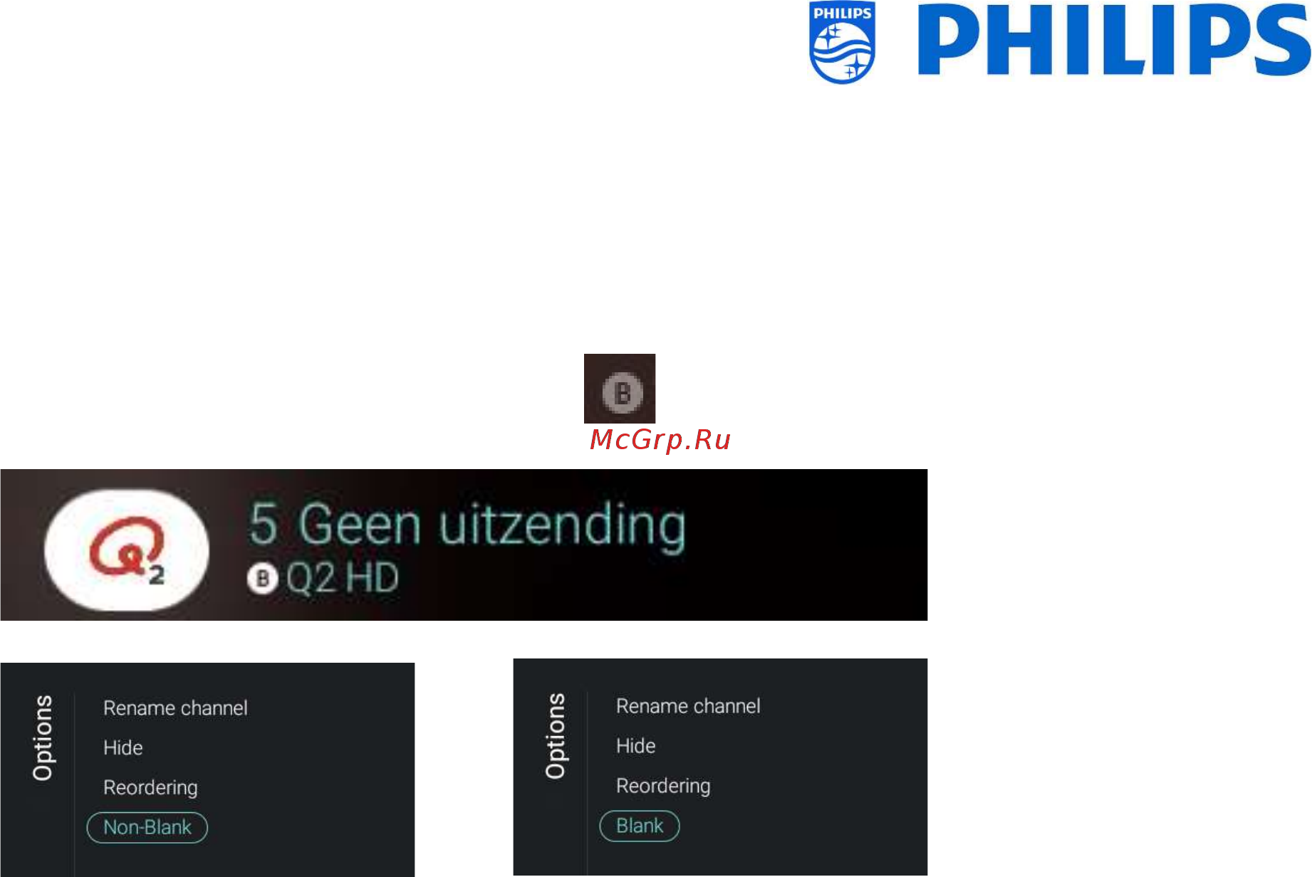 Philips 49HFL5011T/12 [75/94] Blank non blank channels