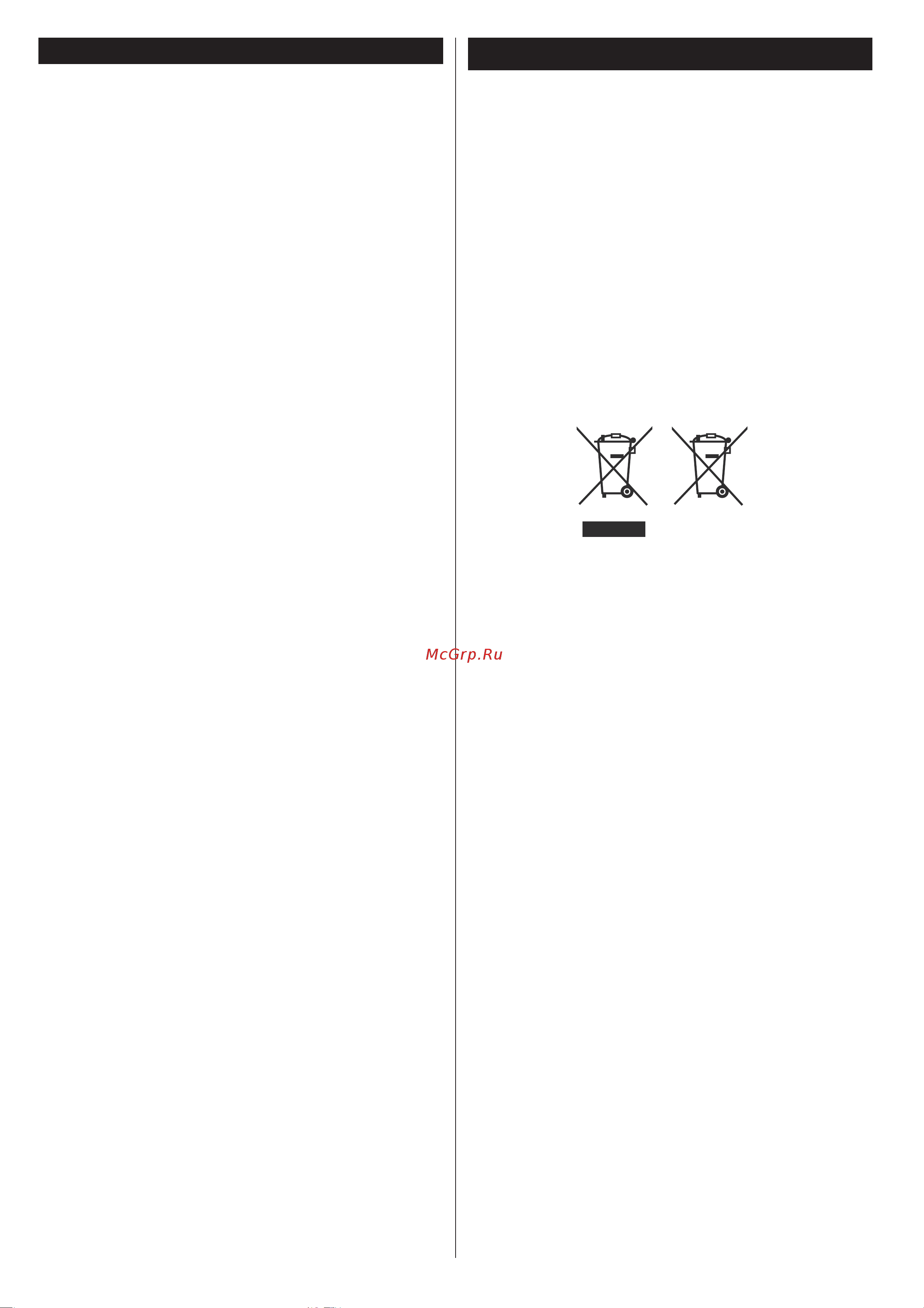 Philips 19HFL2819P/12 [2/13] Изделие батарейка