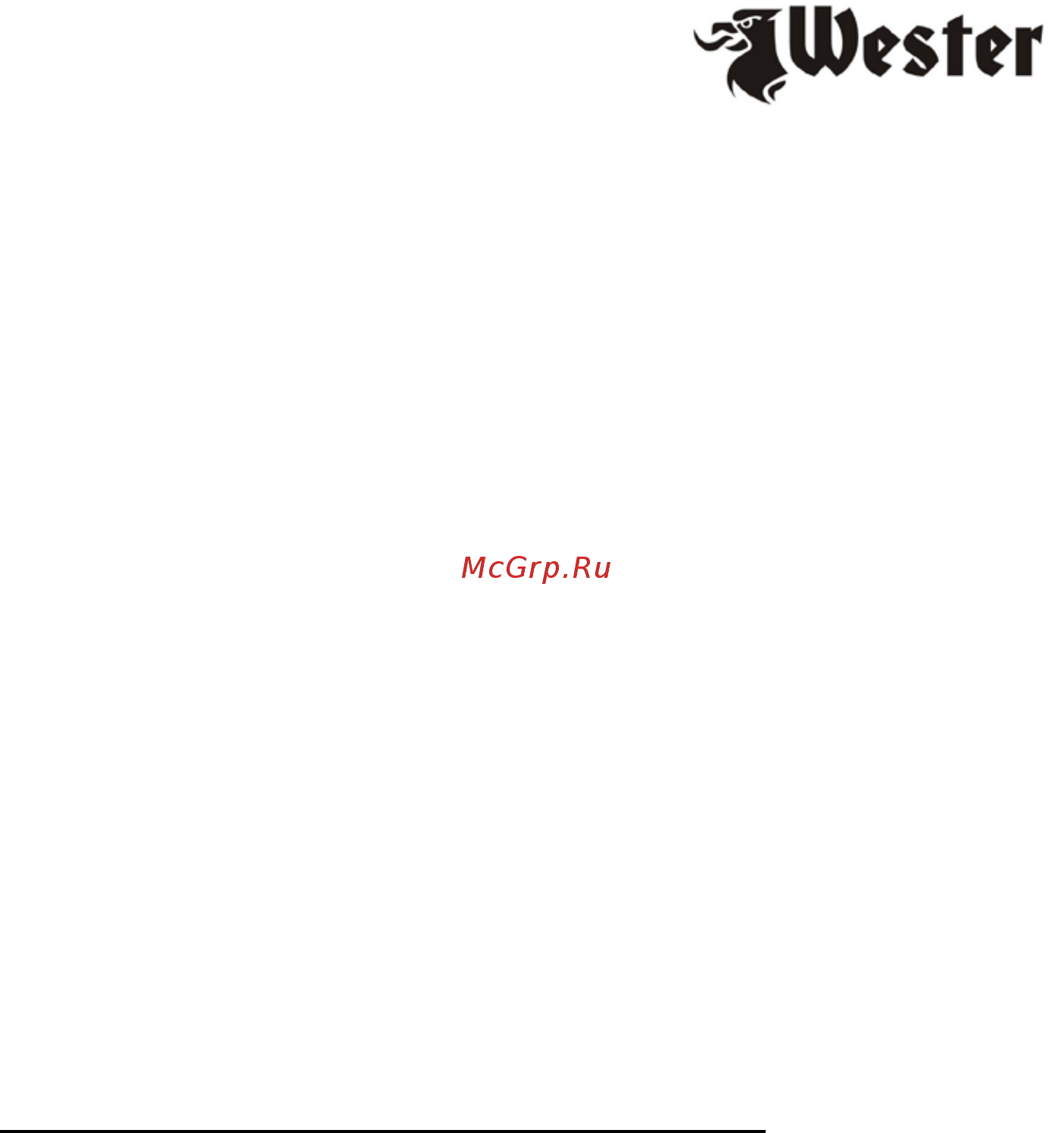 Wester W 100-220 OLC Инструкция по эксплуатации онлайн [7/13] 260643