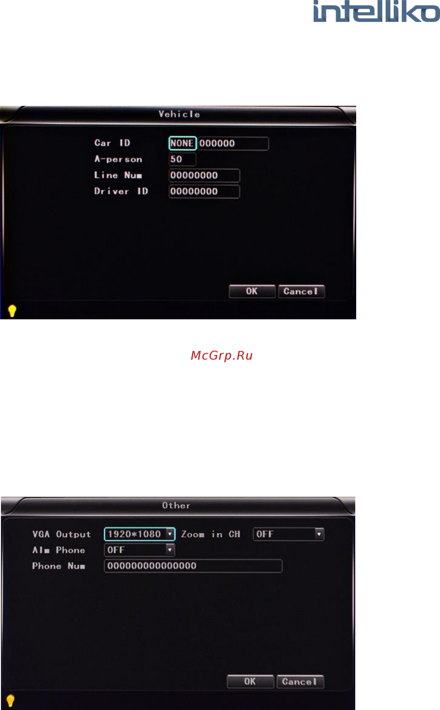 INTELLIKO INT-MDVR208-107 Руководство по эксплуатации онлайн [42/69] 261321