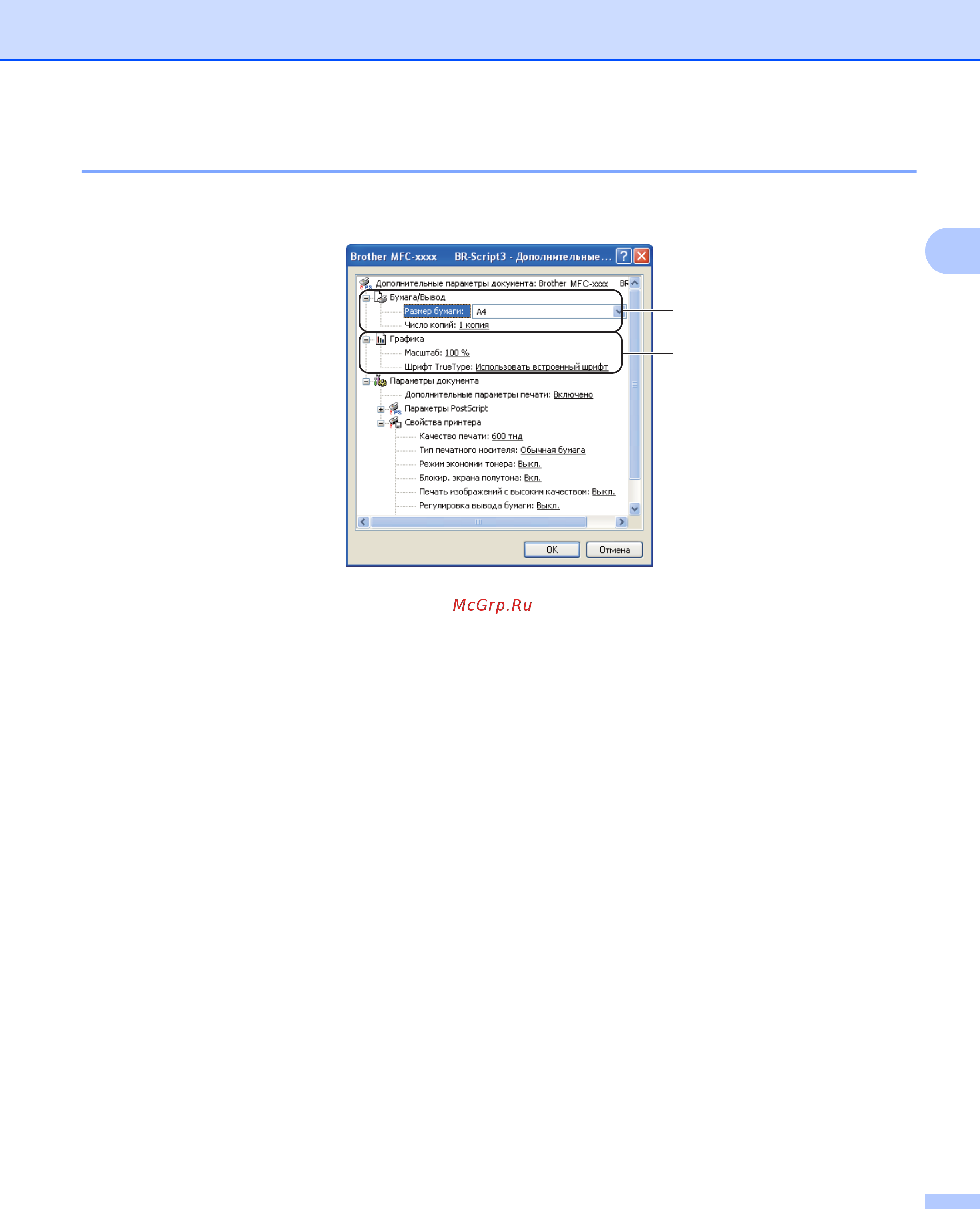 Brother DCP-8110D [51/281] Дополнительные параметры