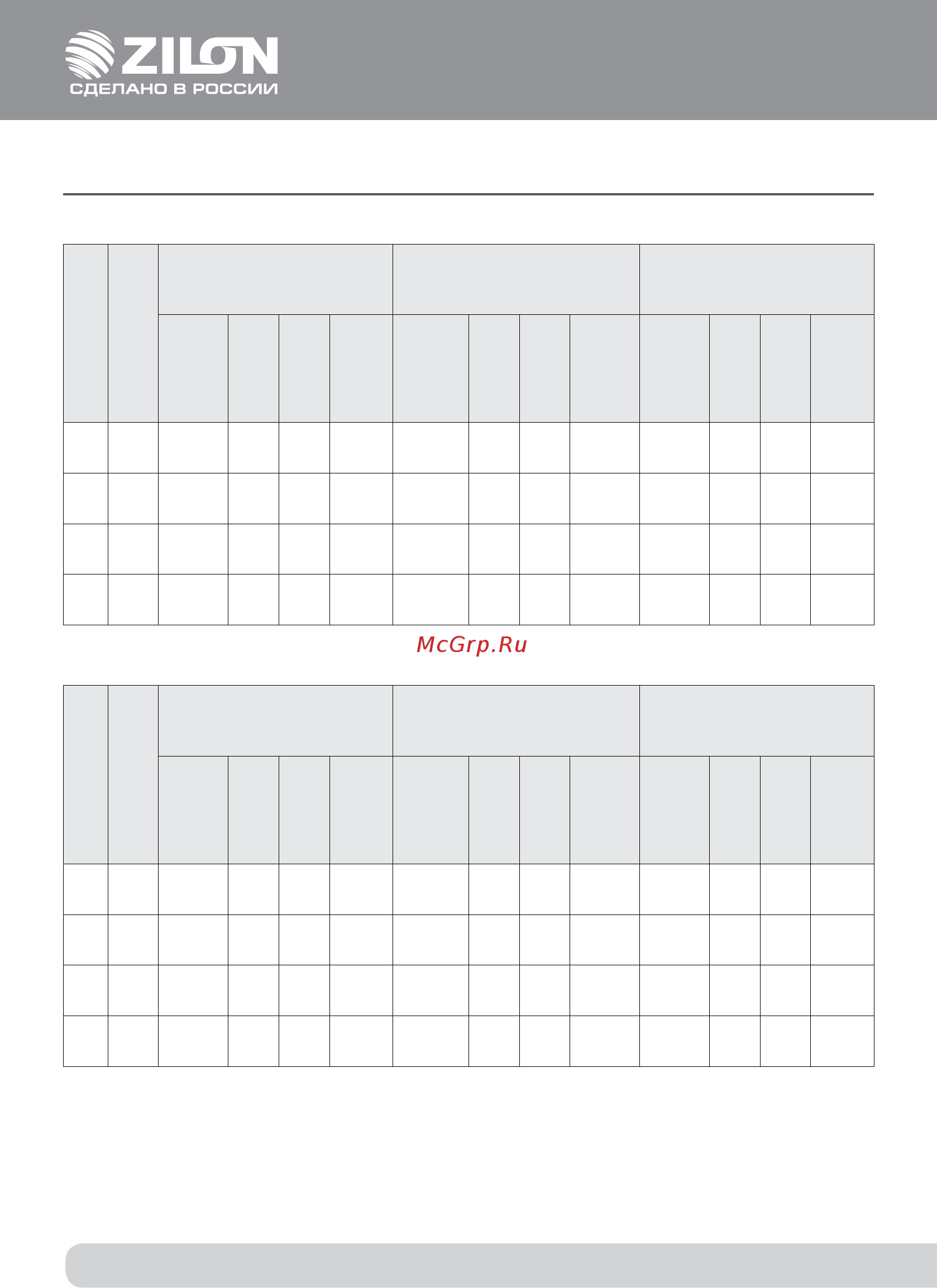 Zilon ZWS 600x300-2 [17/27] Технические данные