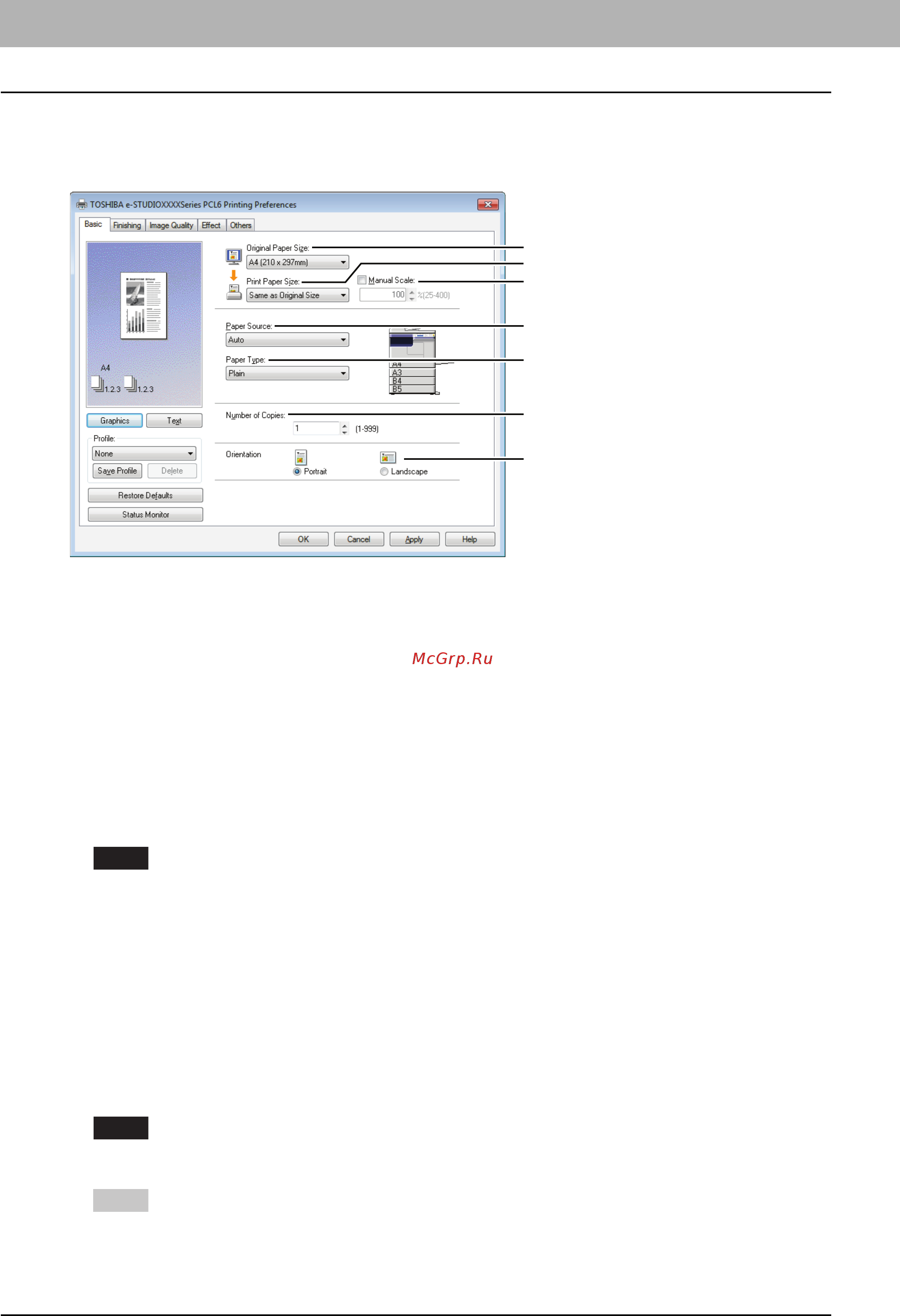 Toshiba e-STUDIO 2809A [94/248] Вкладка basic