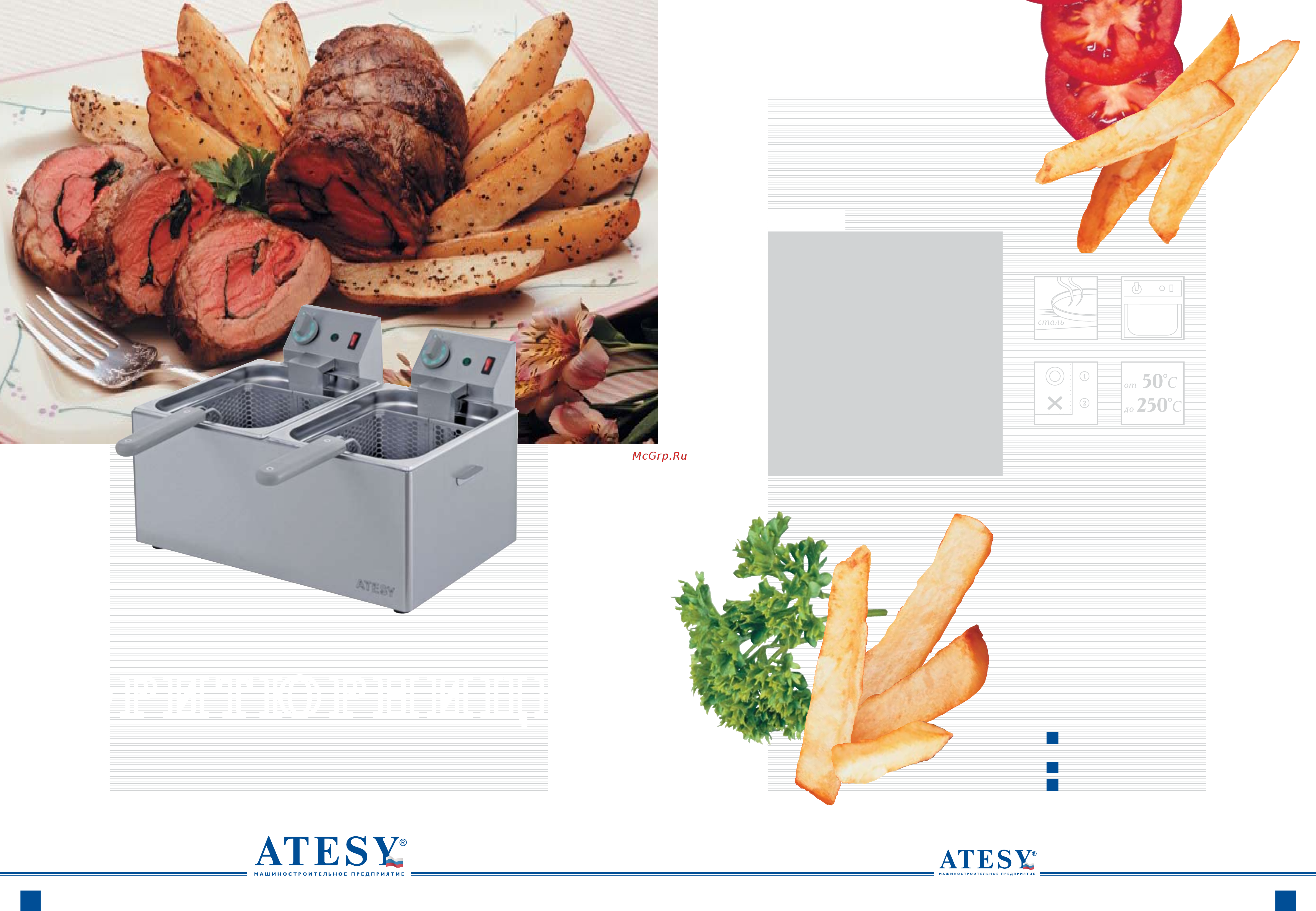 ATESY Командор-2/1М [5/15] Фритюрницы