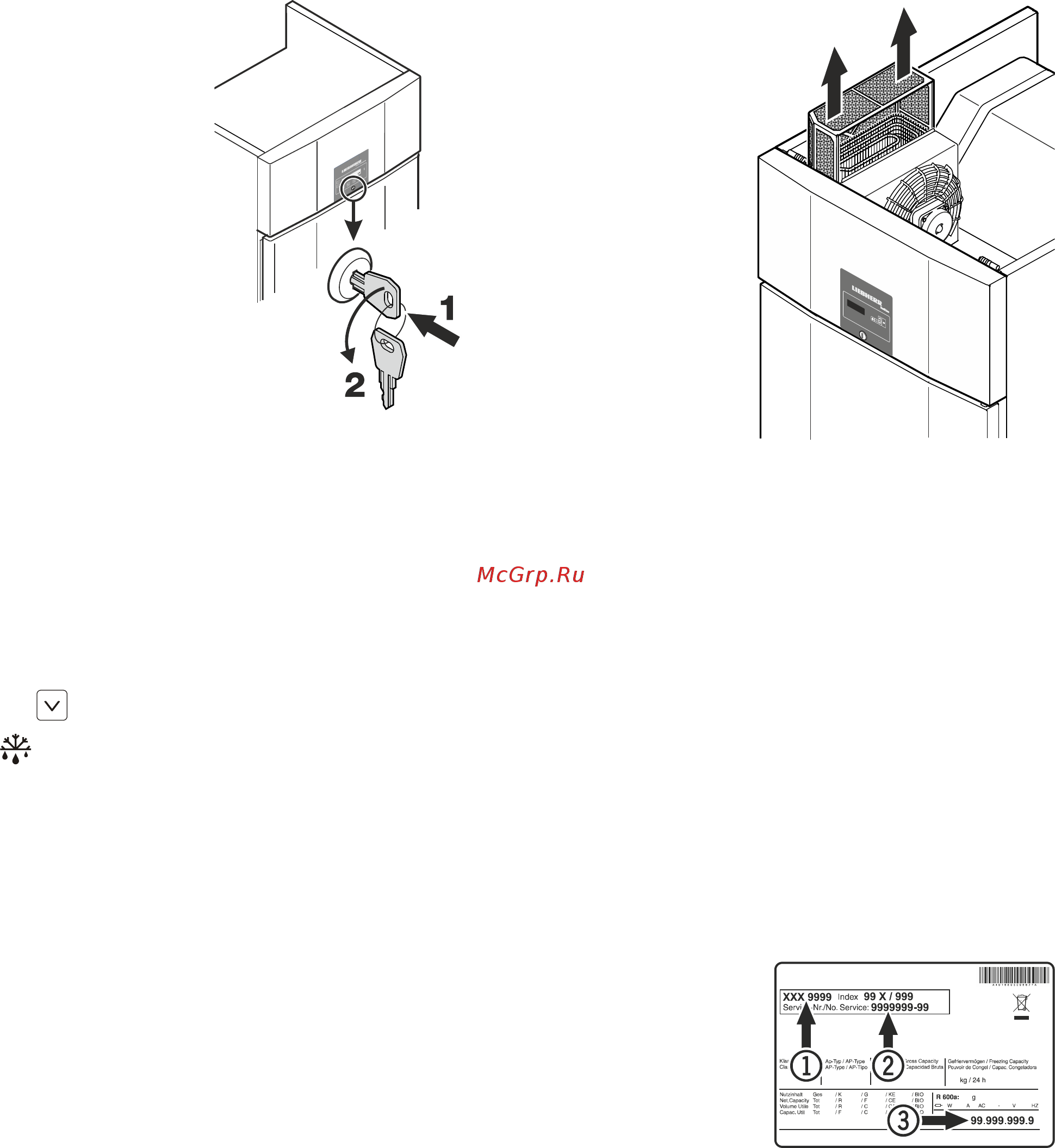 Liebherr GKPv 6570 [7/9] Cleaning