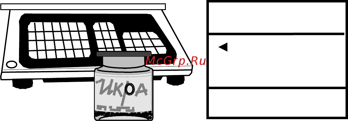 CAS AP-30EX Инструкция по эксплуатации онлайн [15/16] 273930