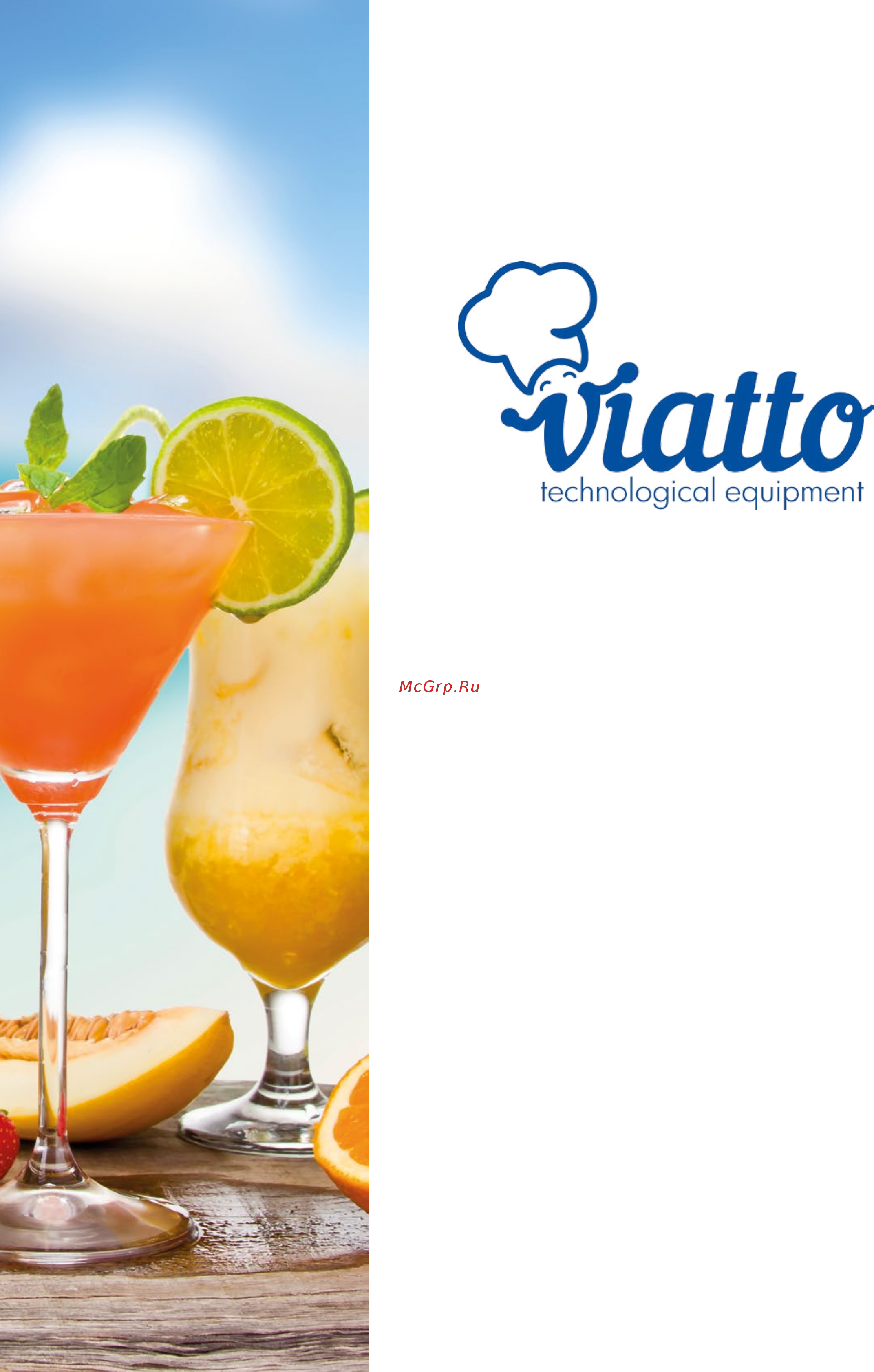 VIATTO DH-20B Каталог оборудования VIATTO онлайн [36/68] 273668