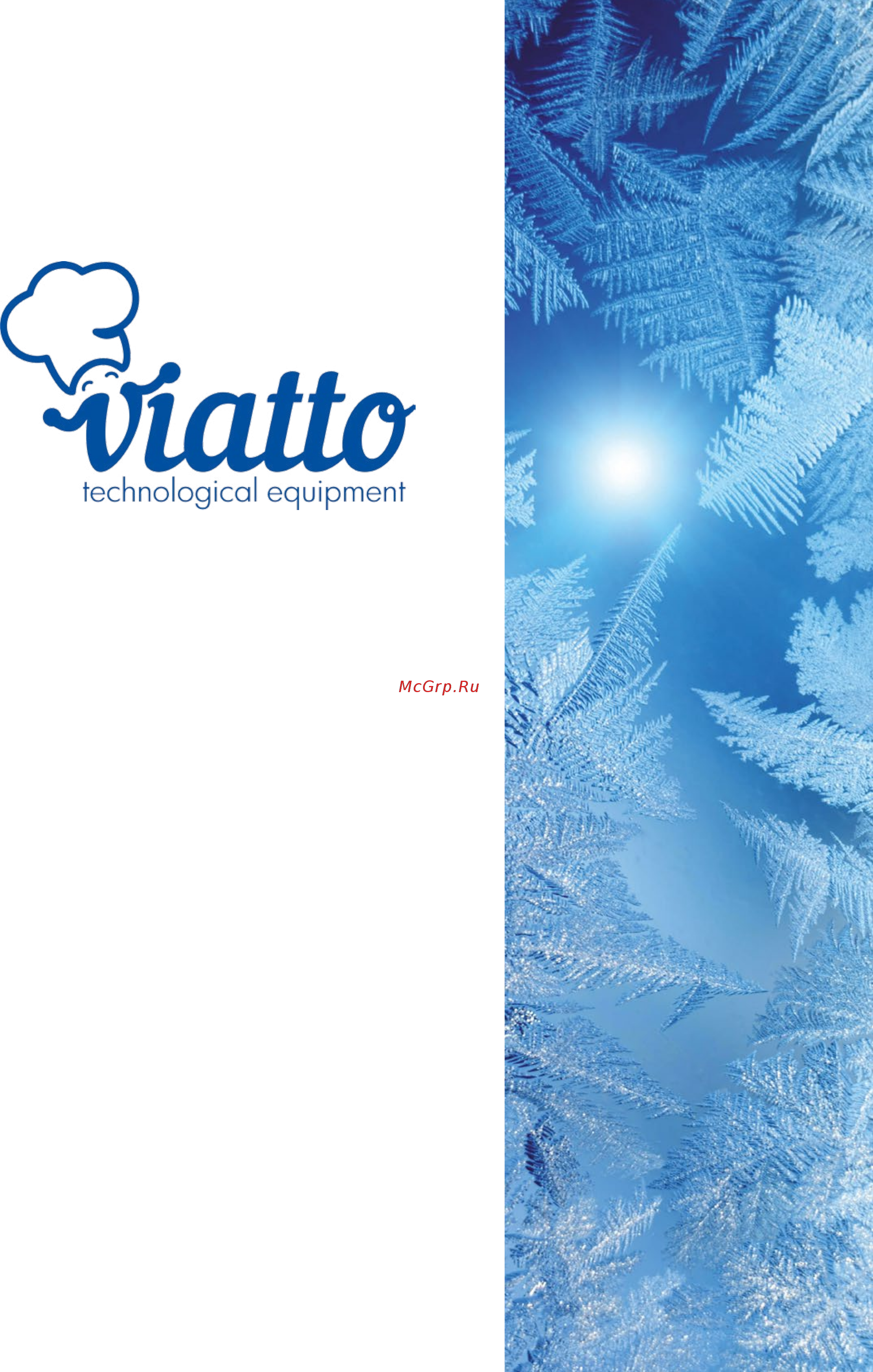 VIATTO DZ-450A Каталог оборудования VIATTO онлайн [41/68] 275513