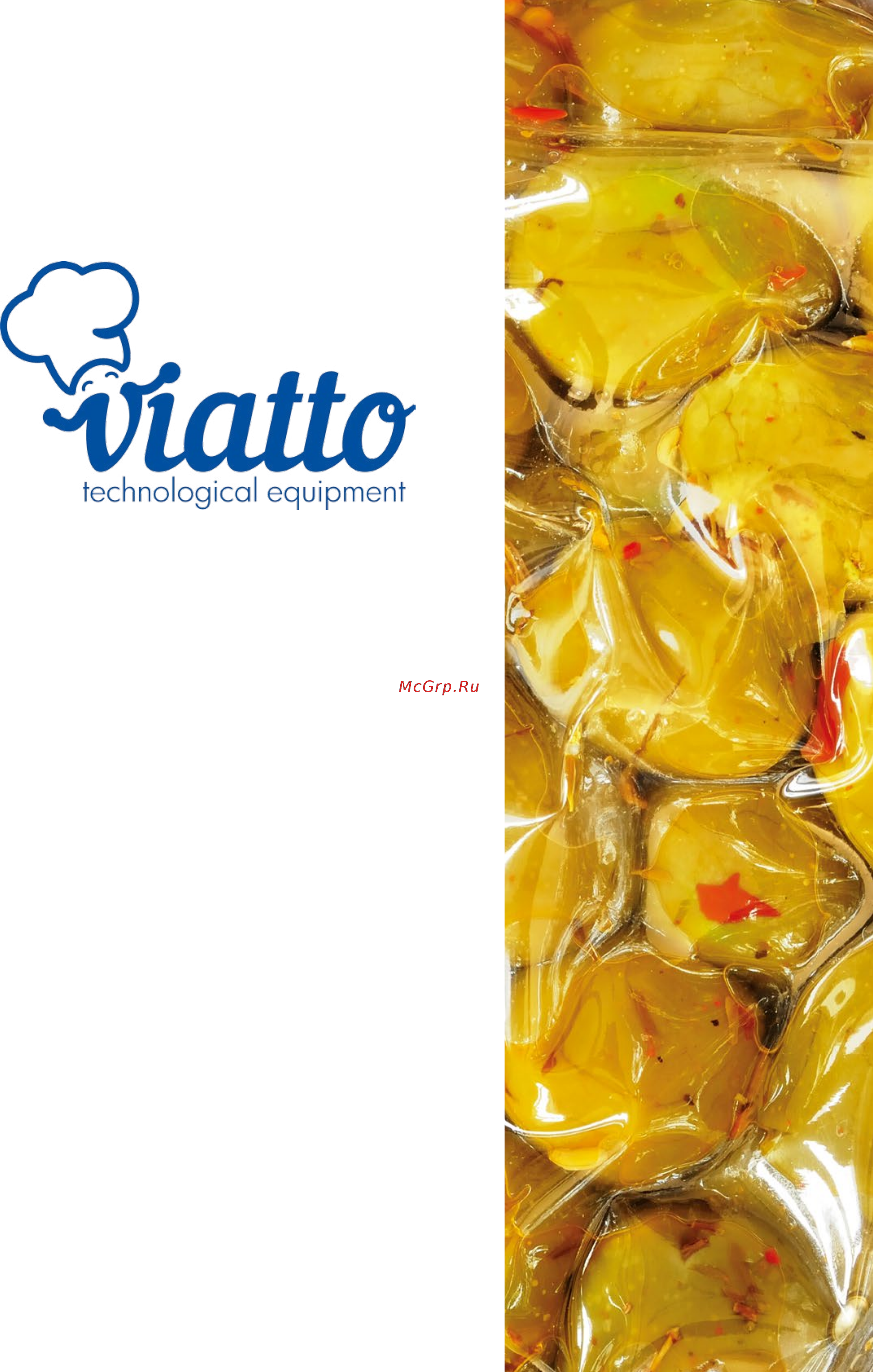 VIATTO WB-15 Каталог оборудования VIATTO онлайн [55/68] 277384