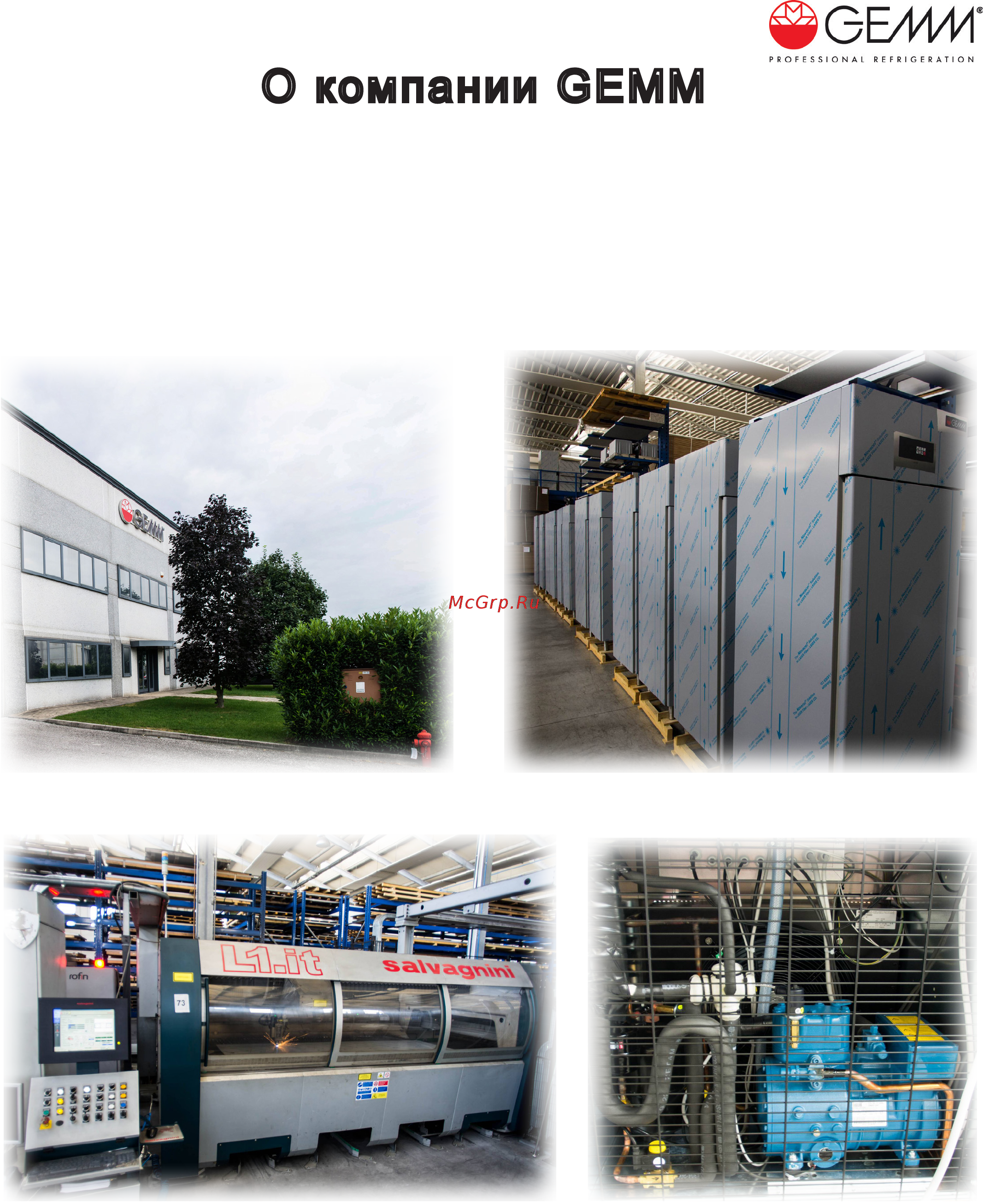Gemm WD/113 [2/6] О компании gemm